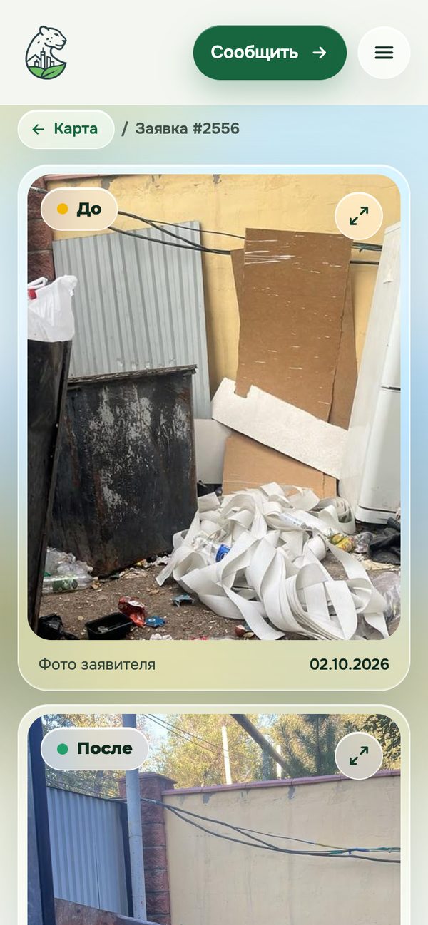 Тазартылған өтінімнің беті: «дейін» және «кейін» суреттері