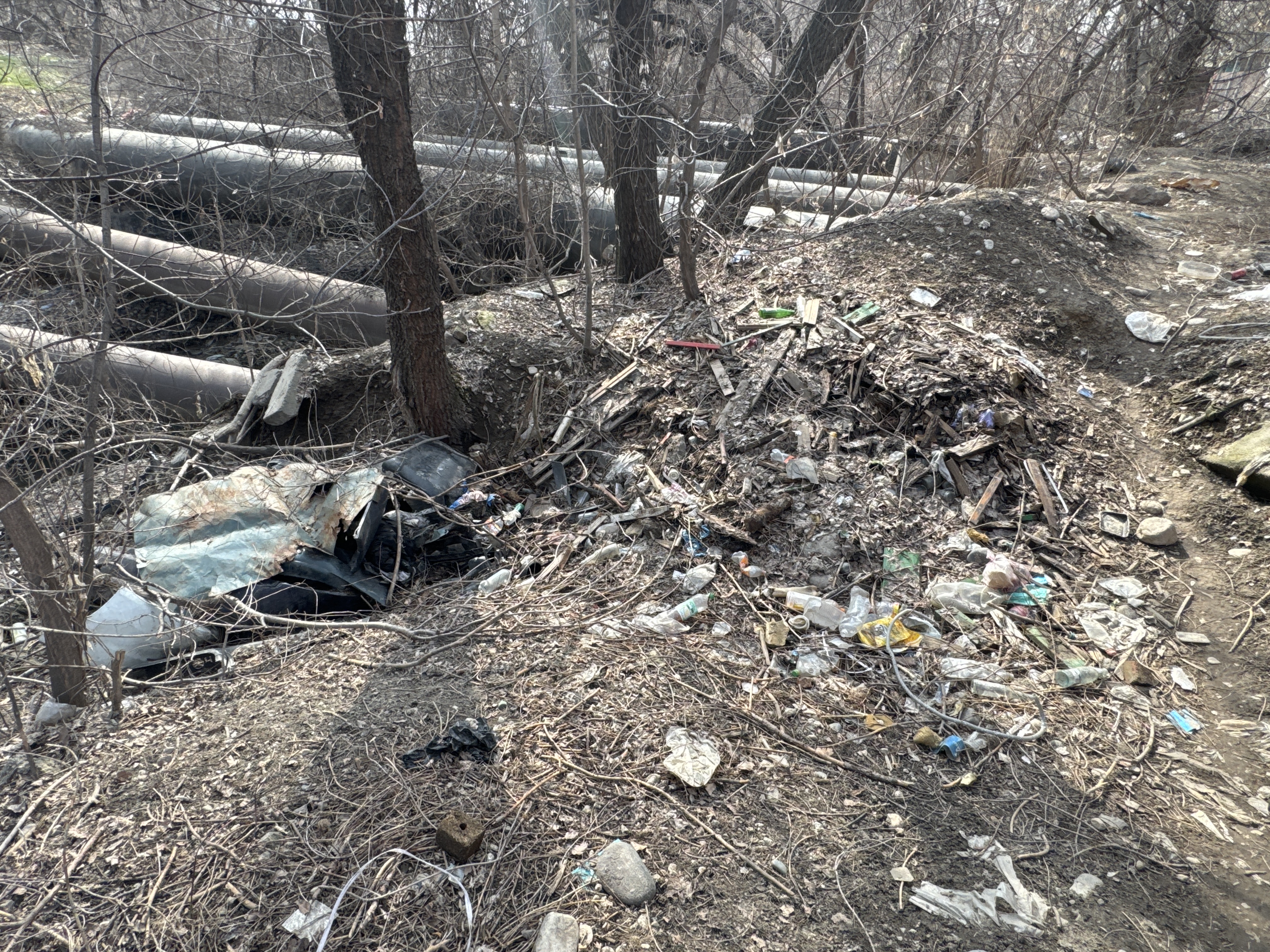 Фото нарушения