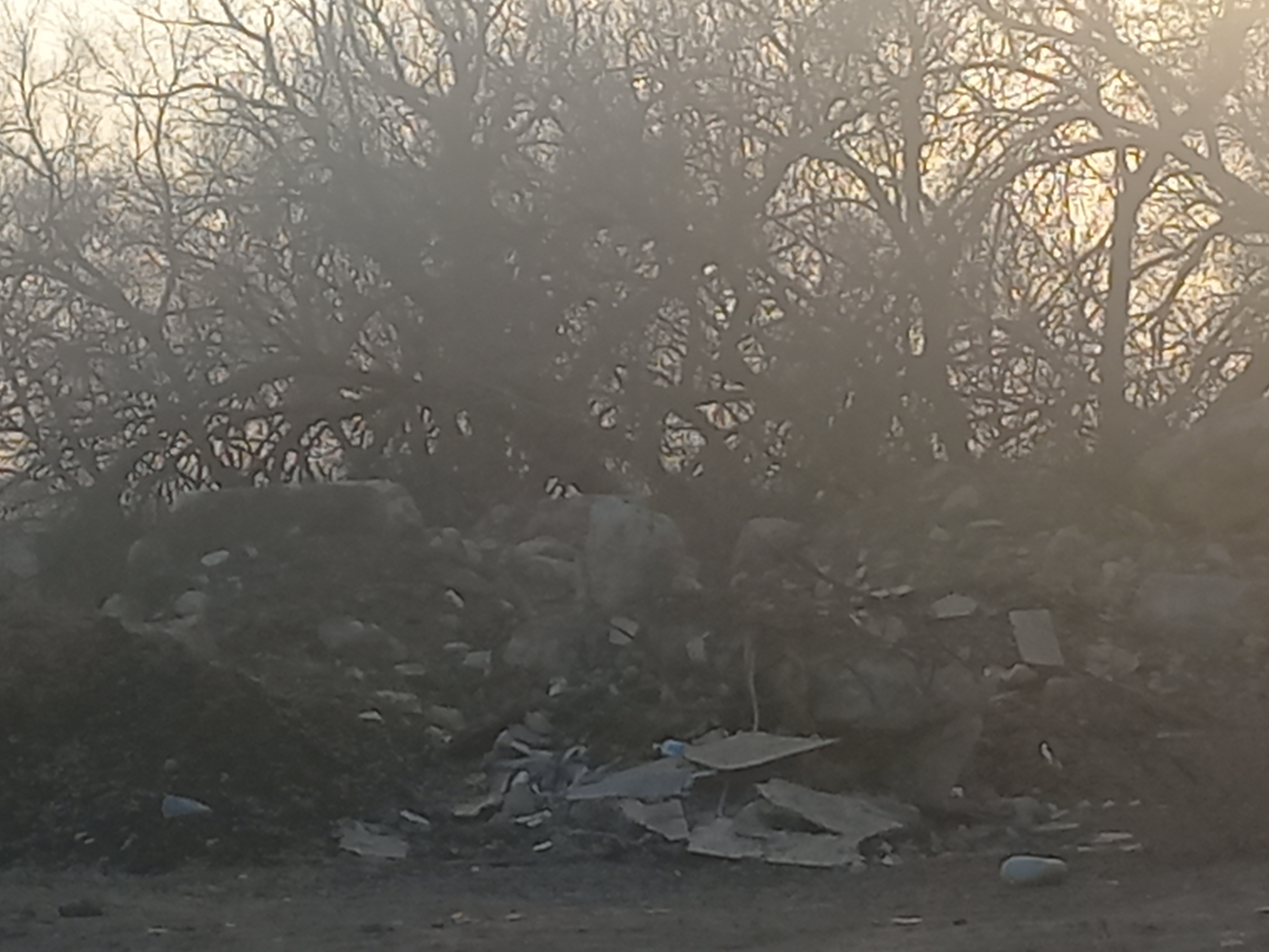 Фото нарушения