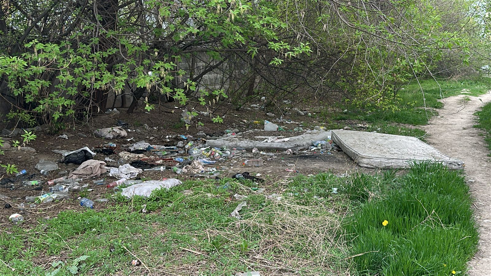 Фото нарушения