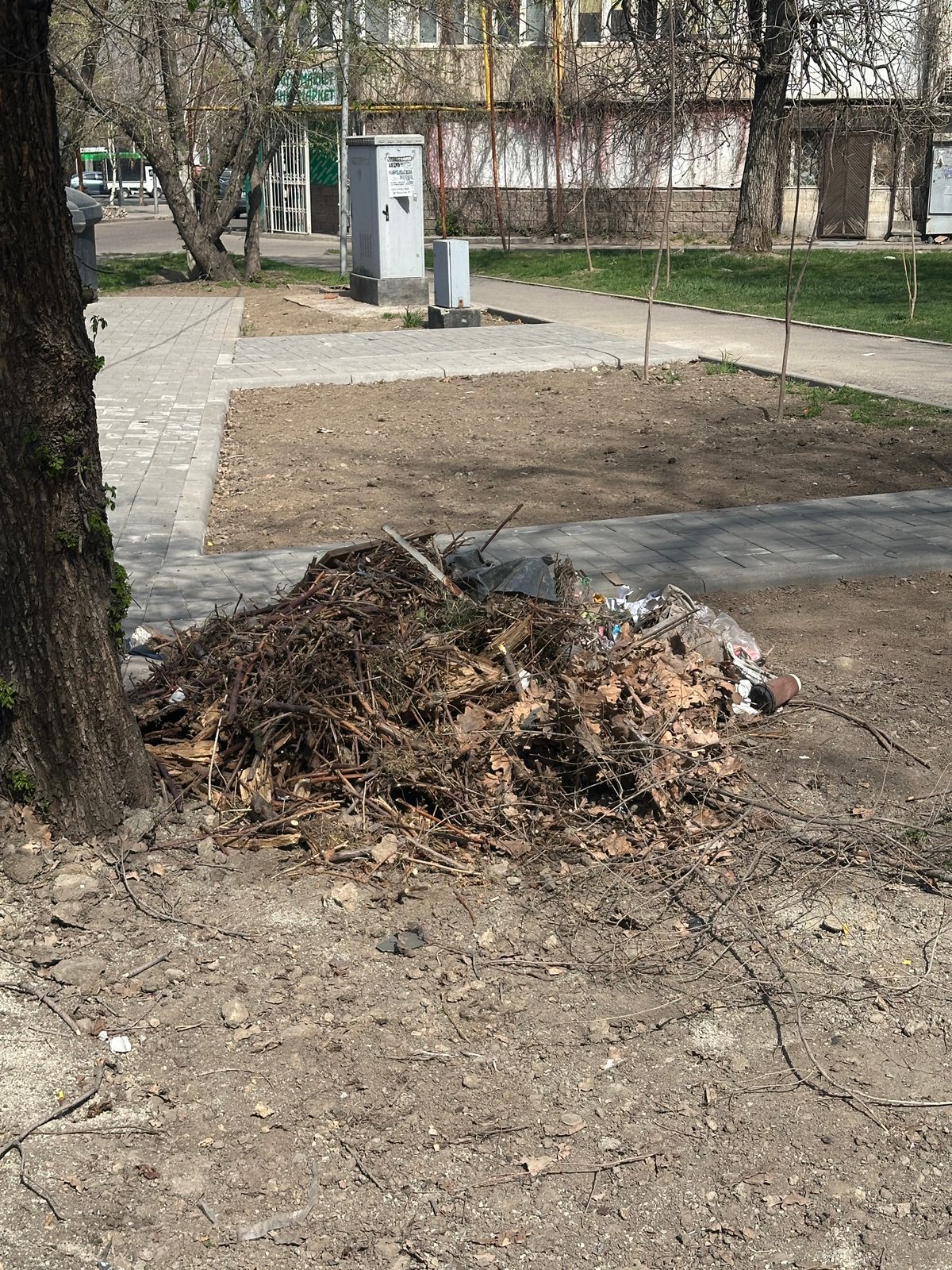 Фото нарушения