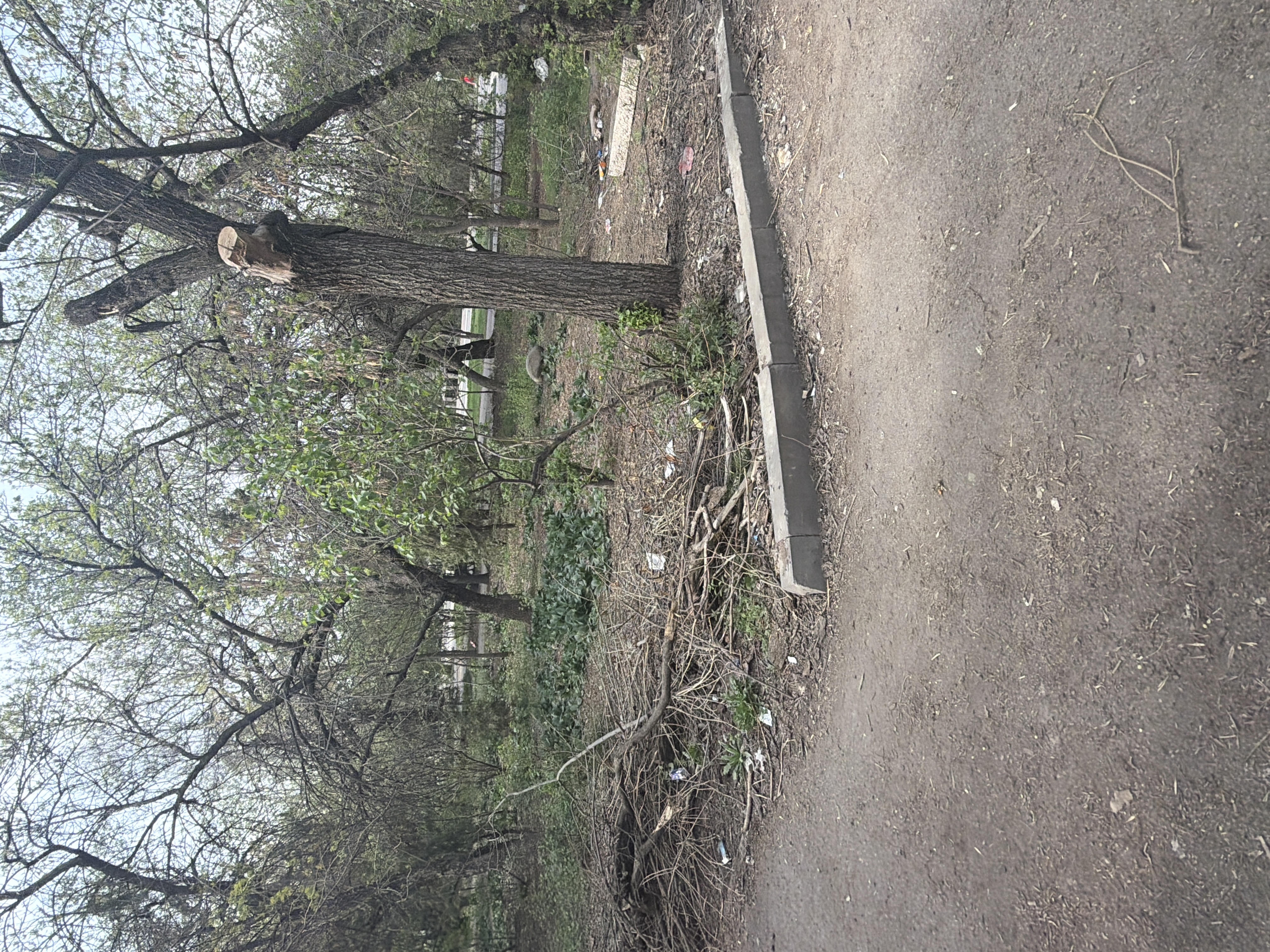 Фото нарушения