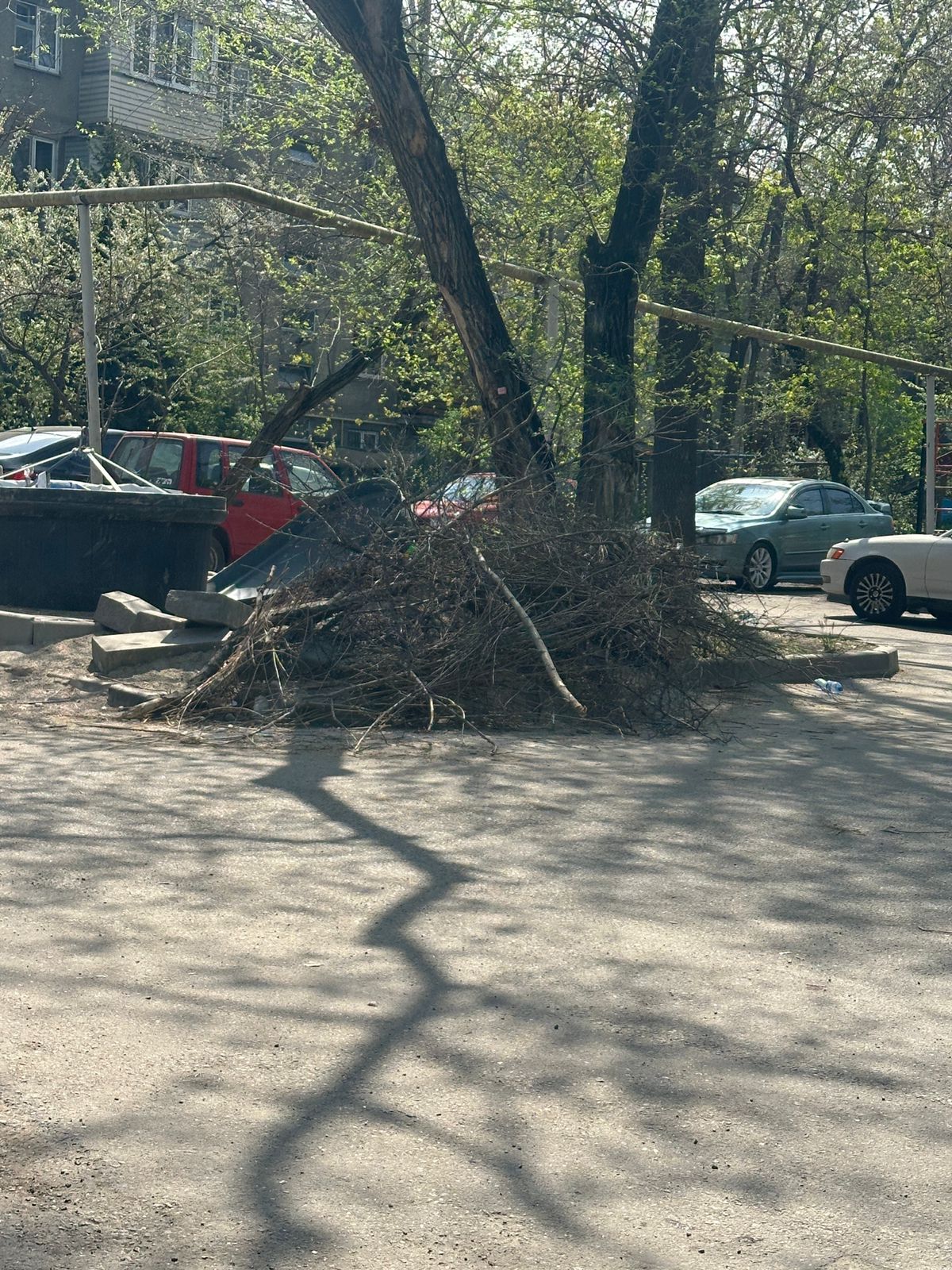 Фото нарушения