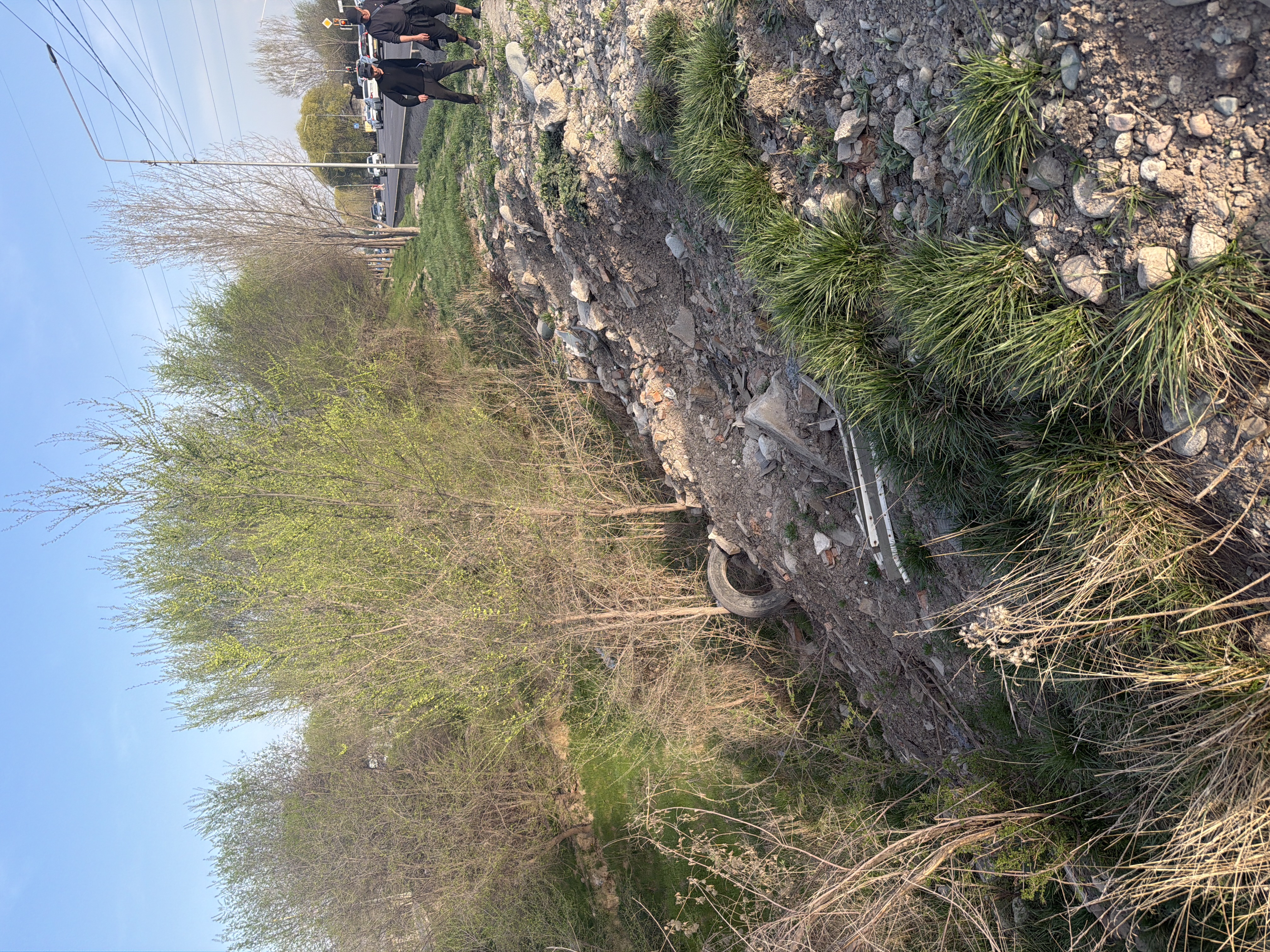 Фото нарушения