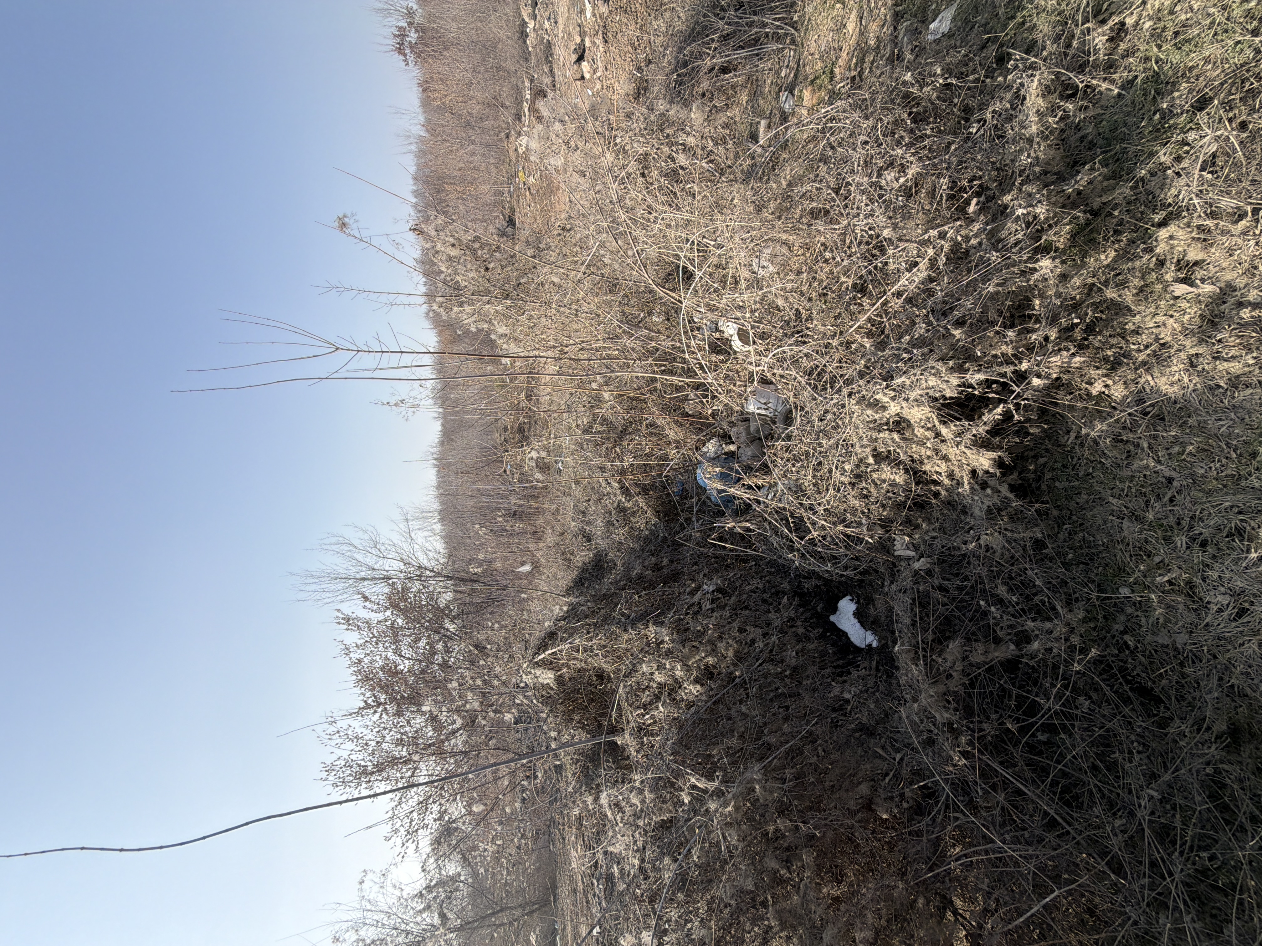 Фото нарушения