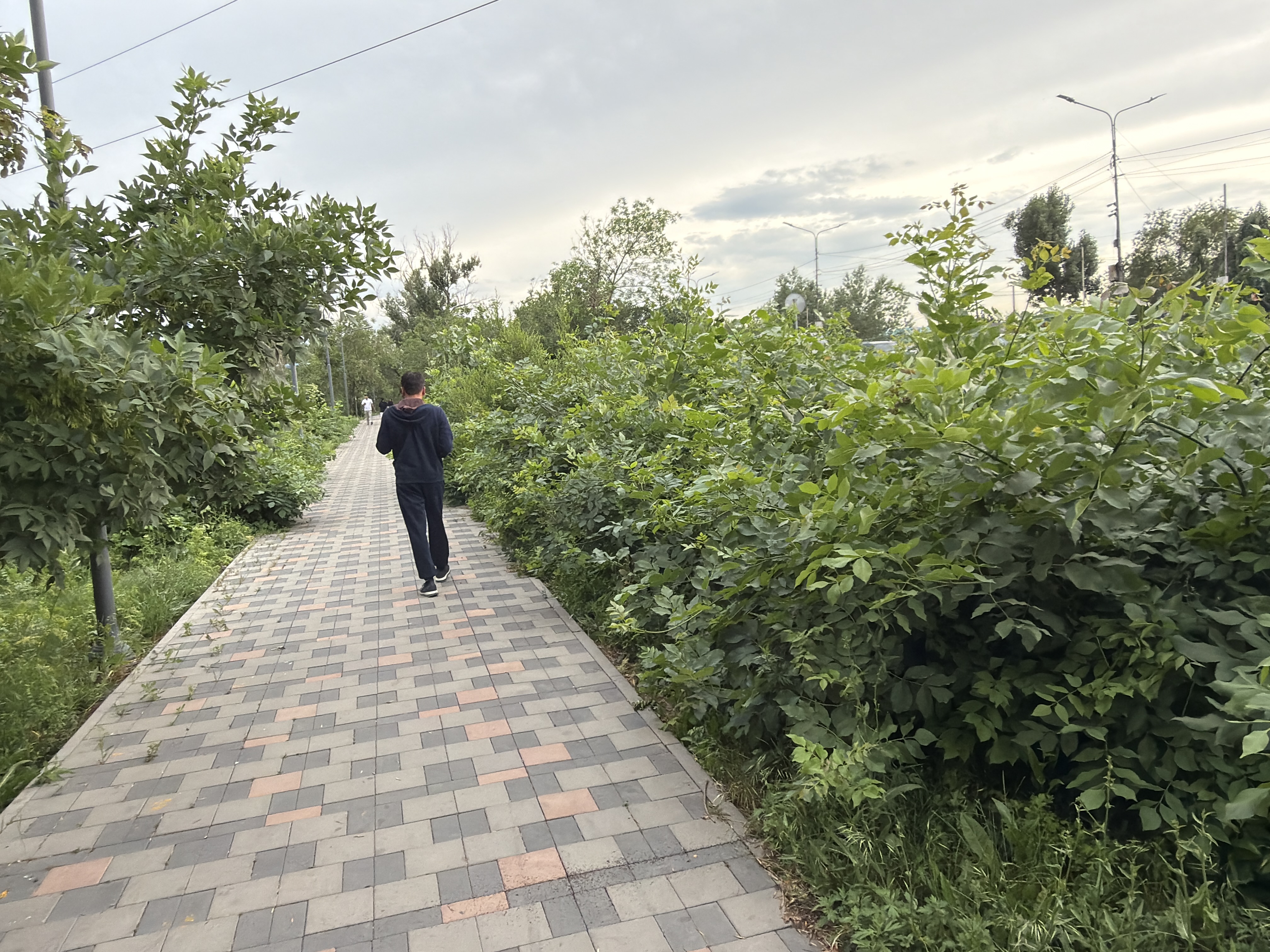 Фото нарушения