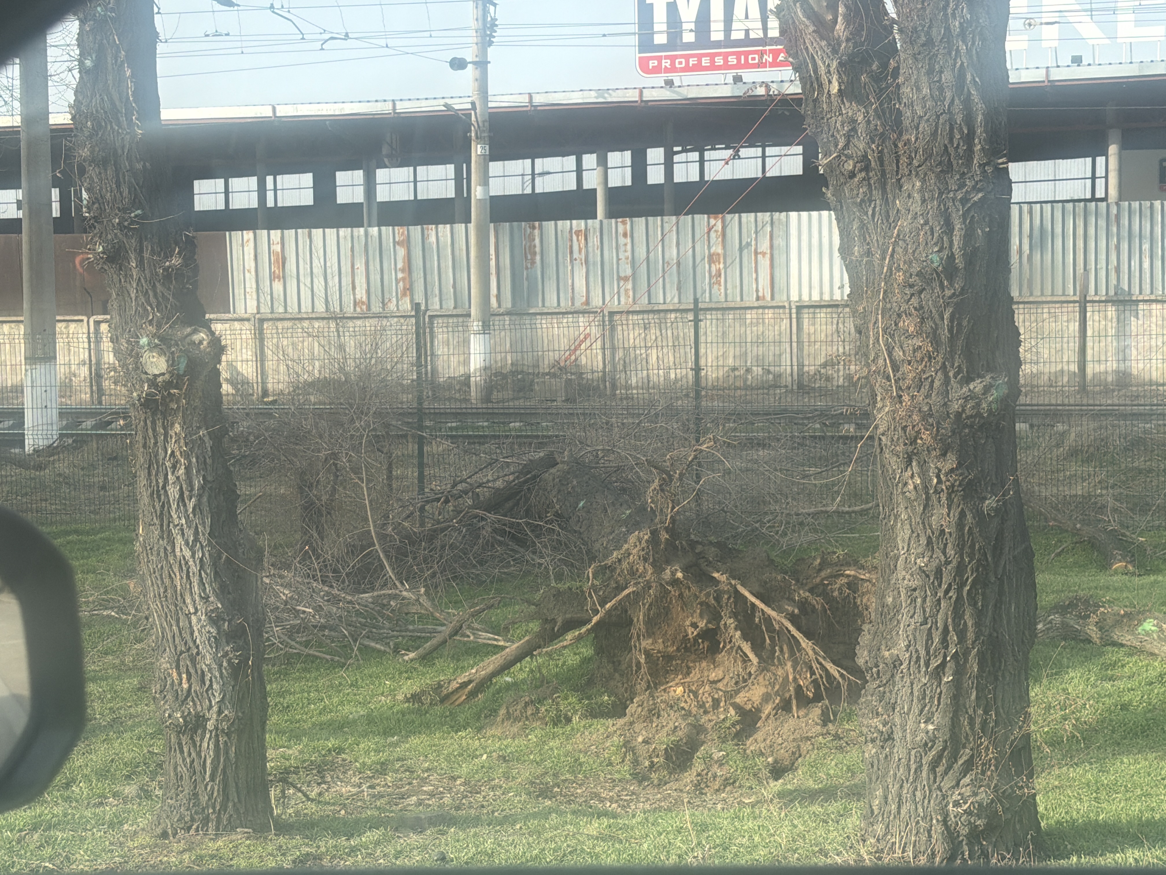 Фото нарушения