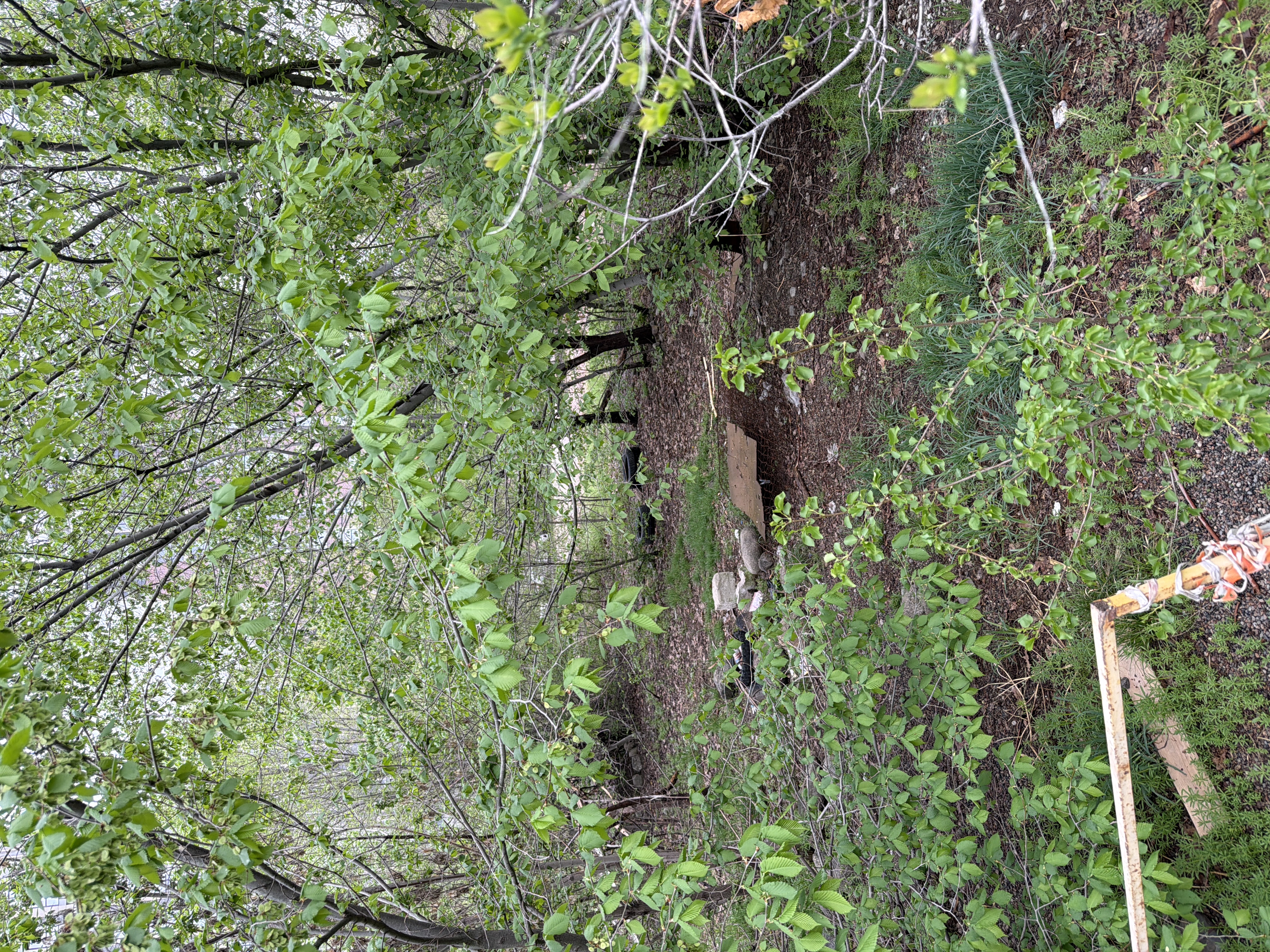 Фото нарушения