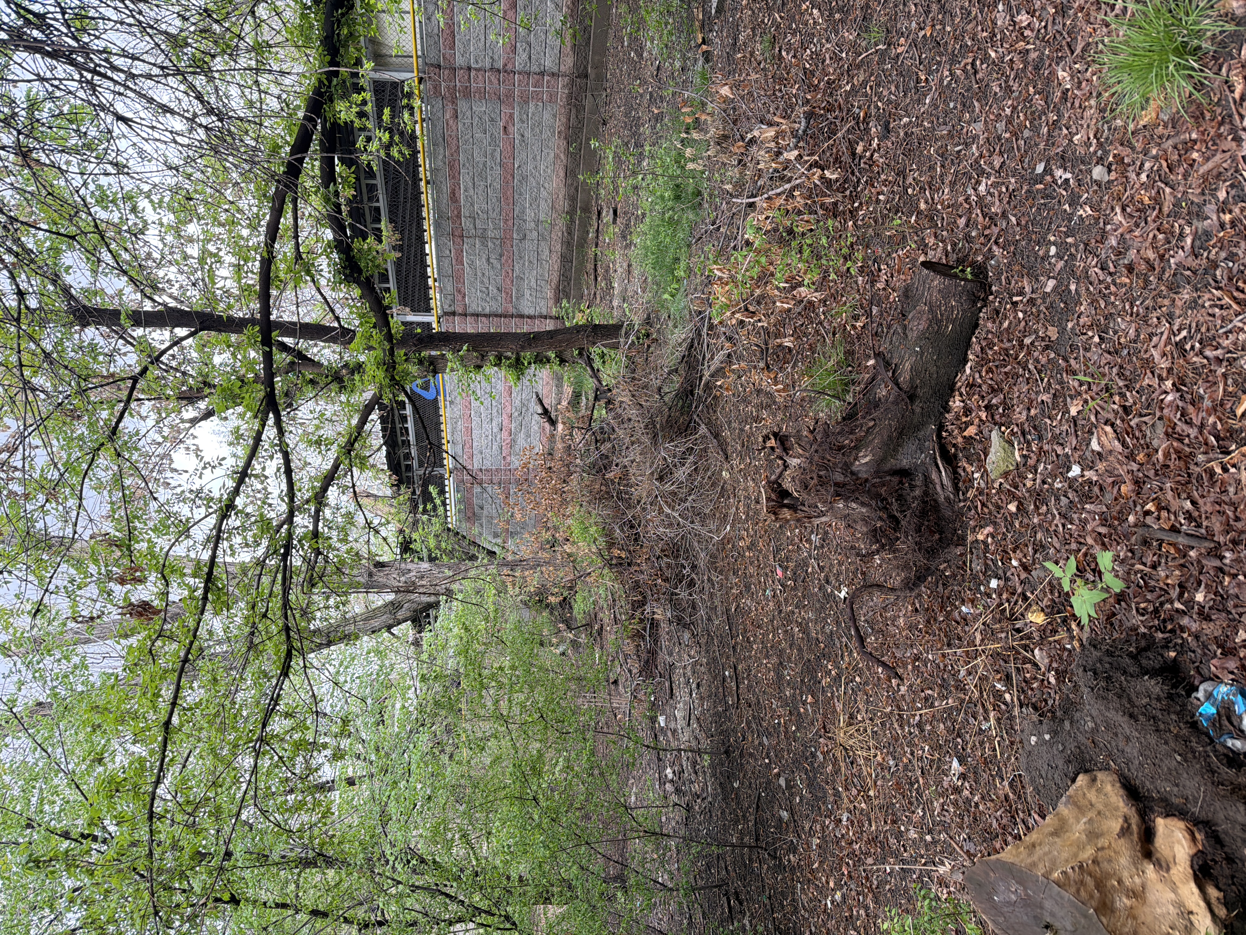 Фото нарушения