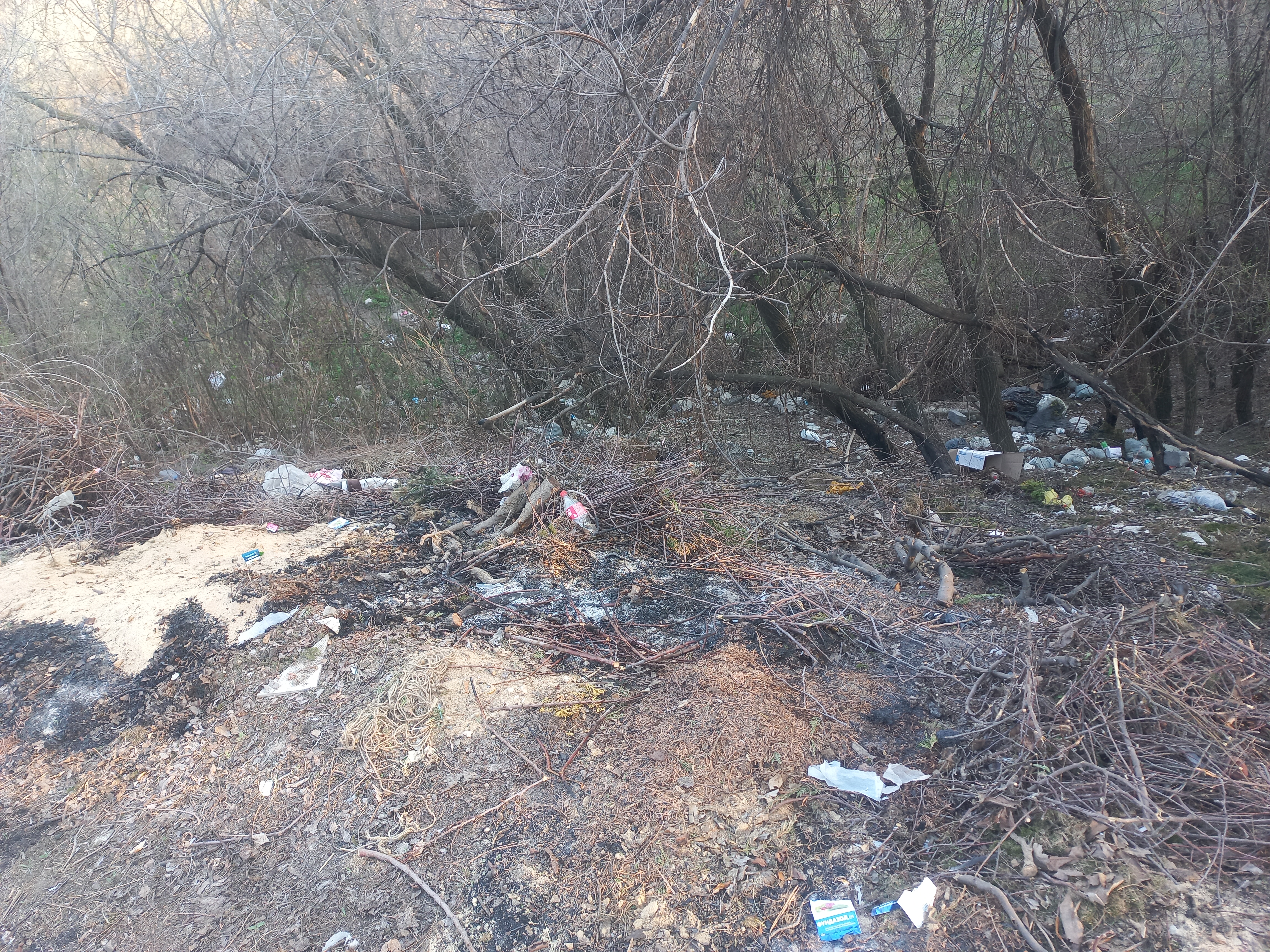 Фото нарушения