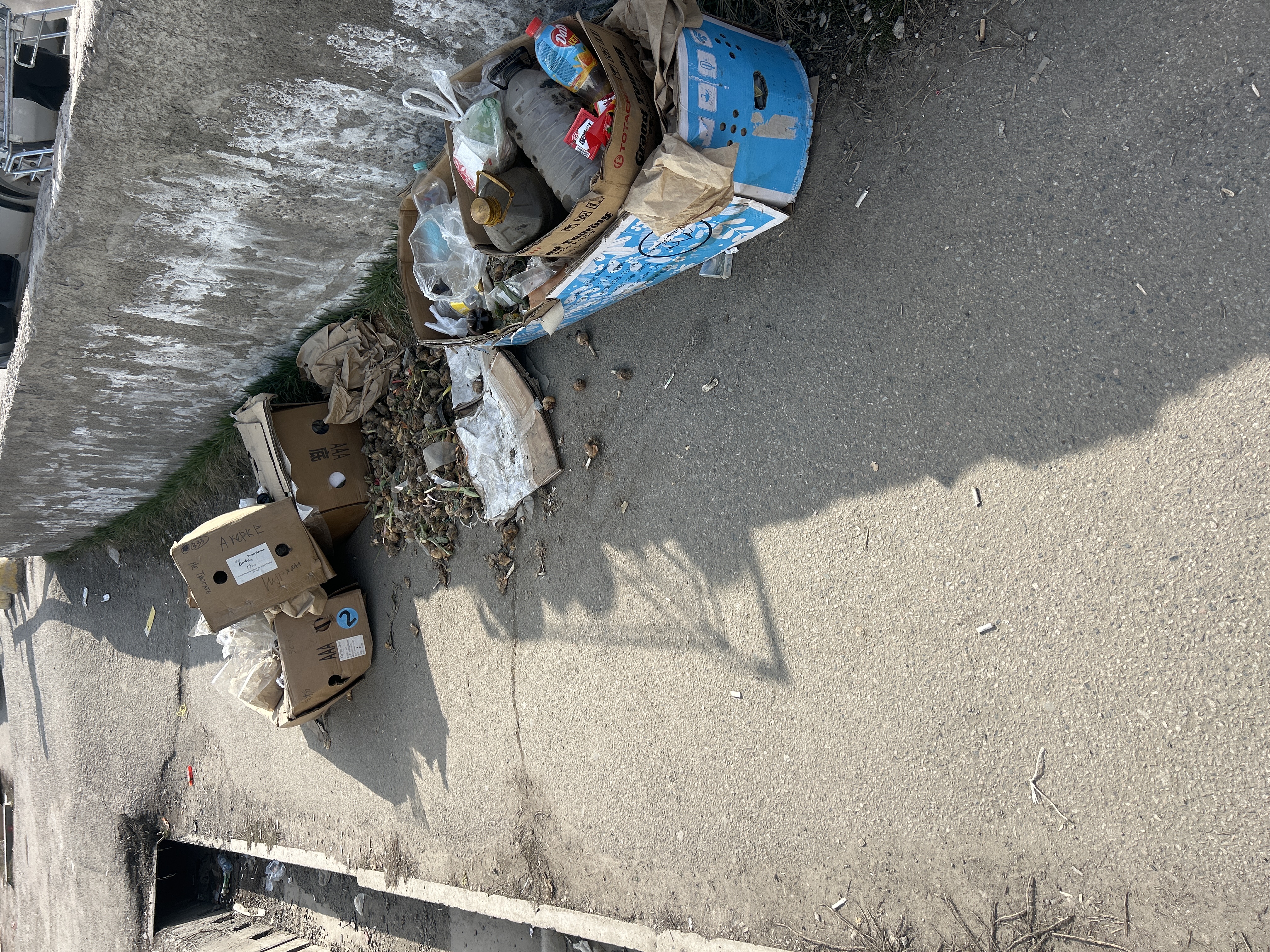 Фото нарушения