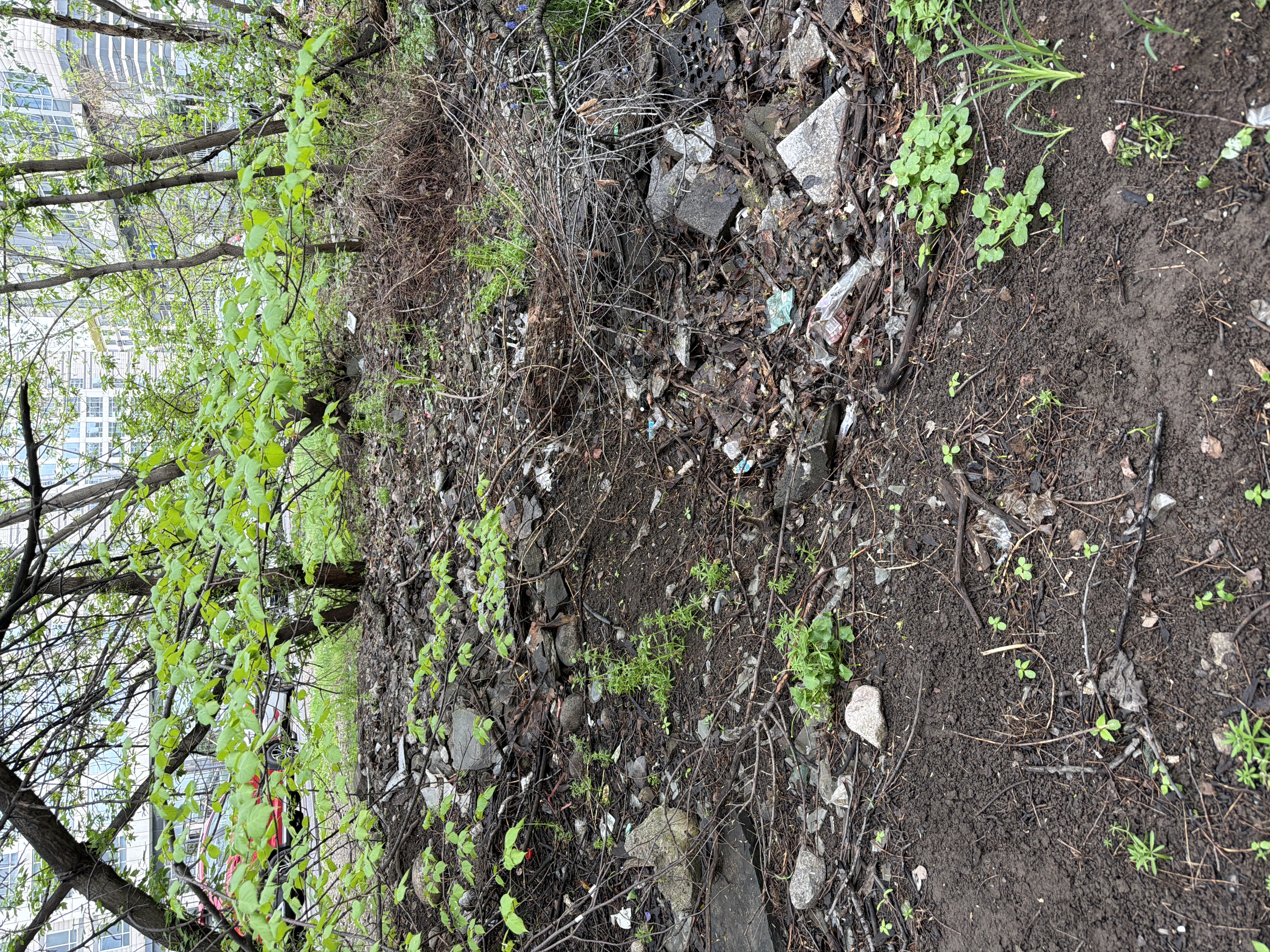 Фото нарушения