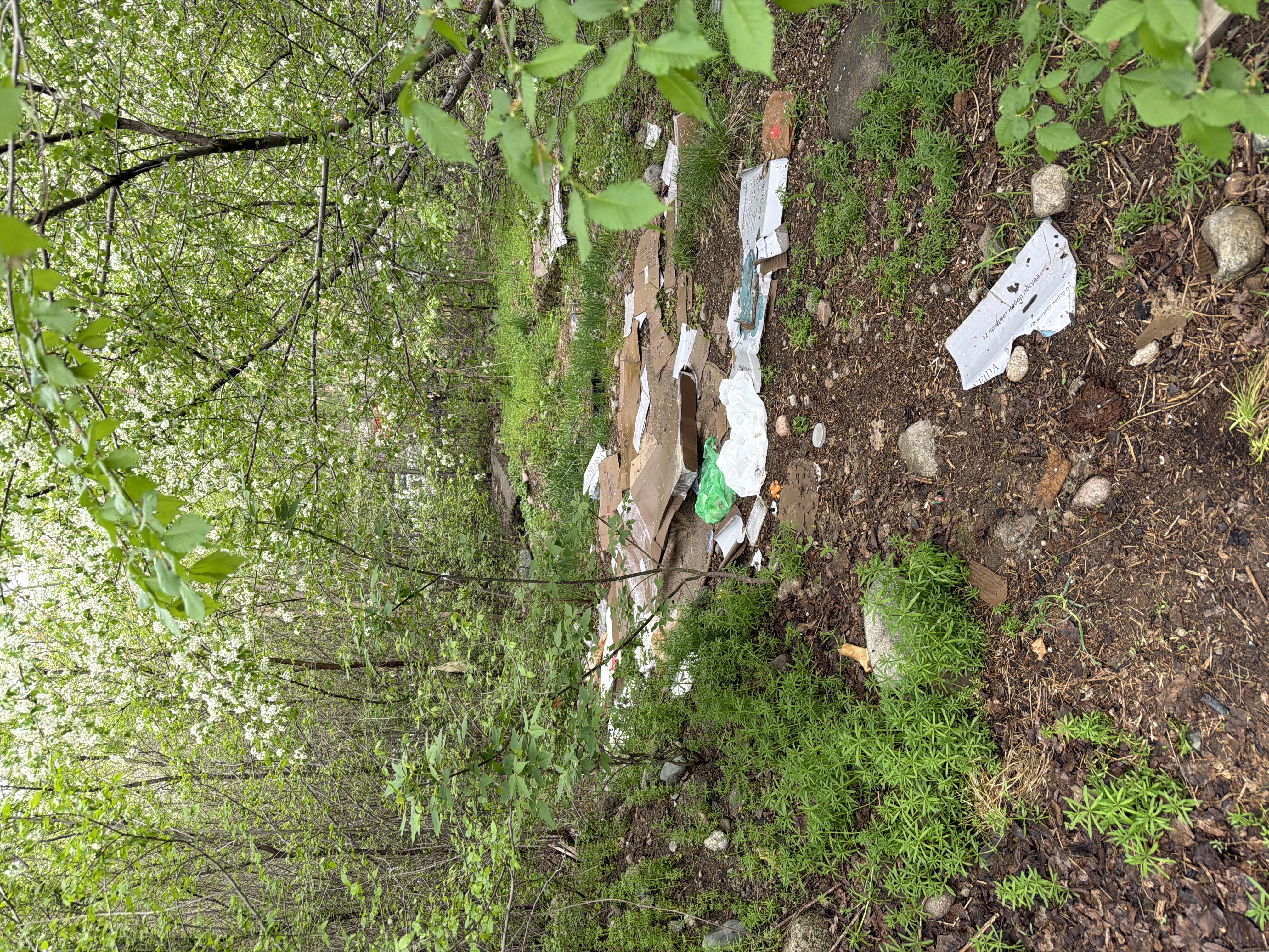 Фото нарушения