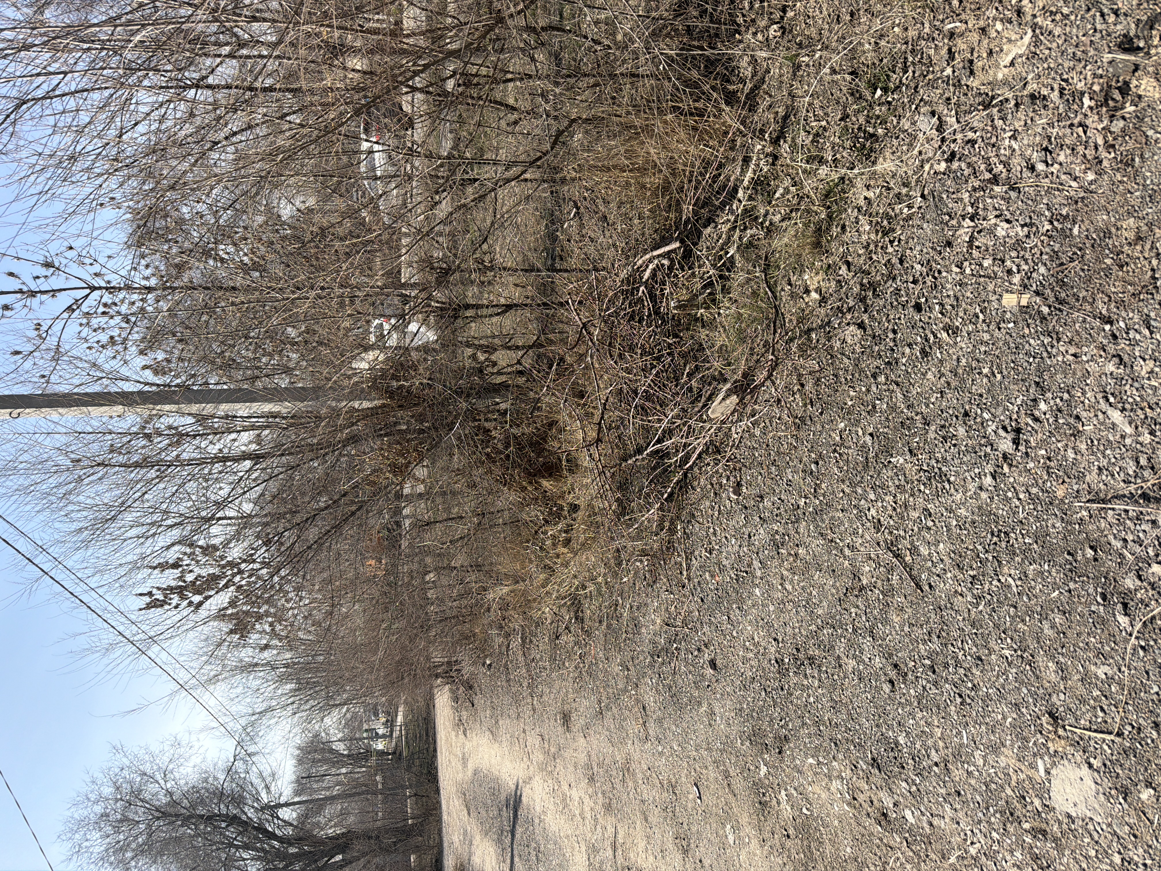 Фото нарушения