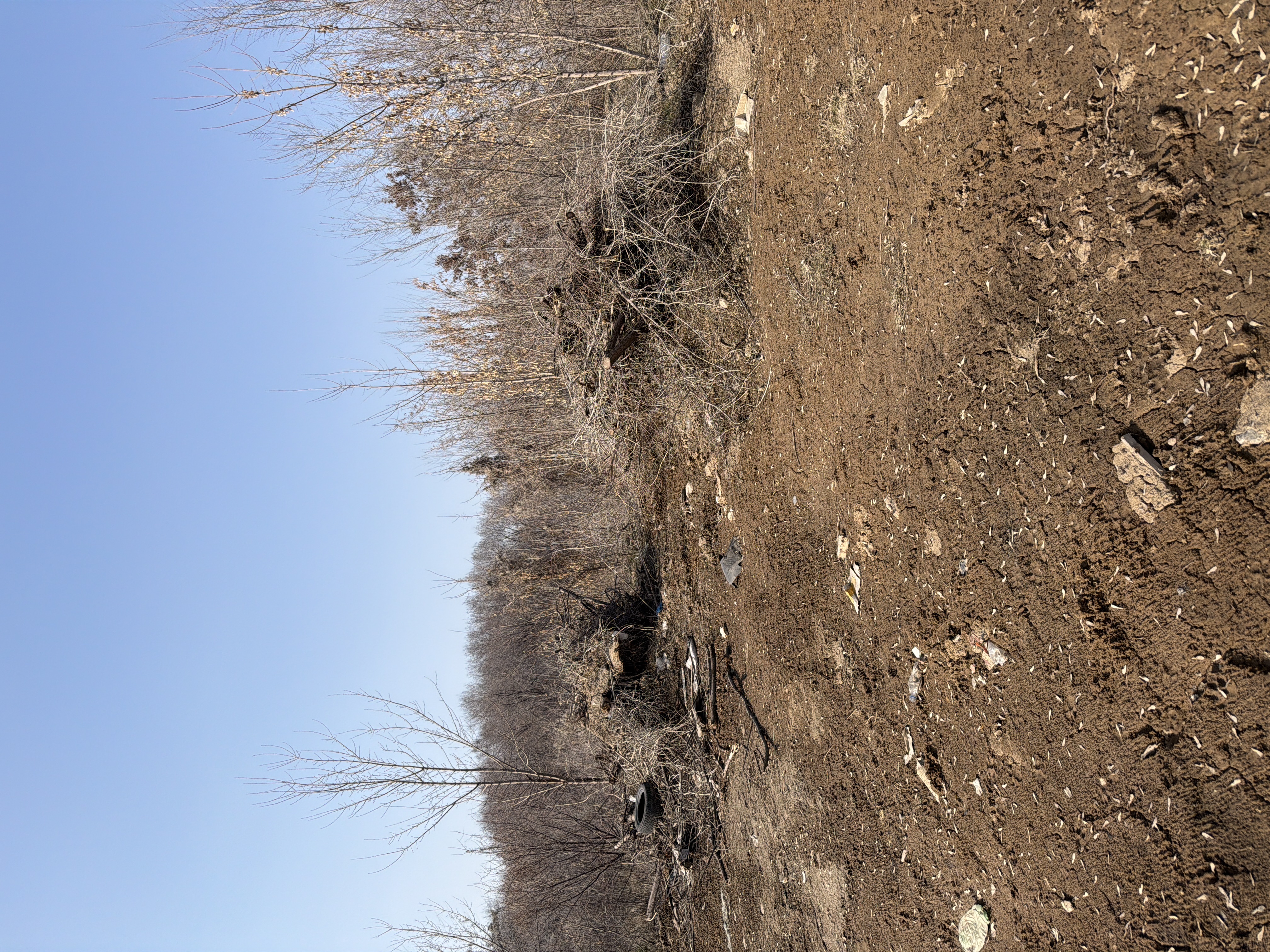 Фото нарушения