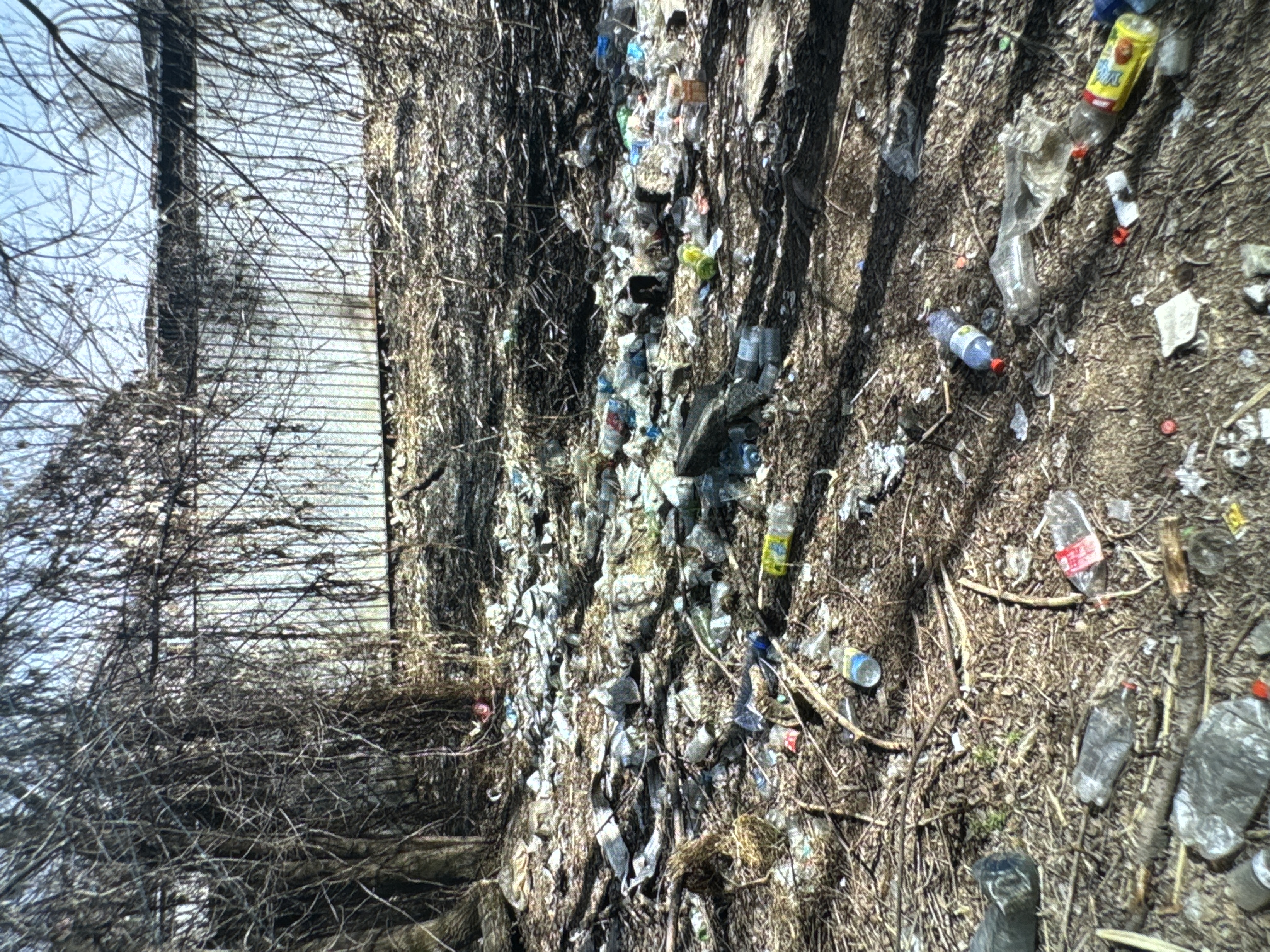 Фото нарушения