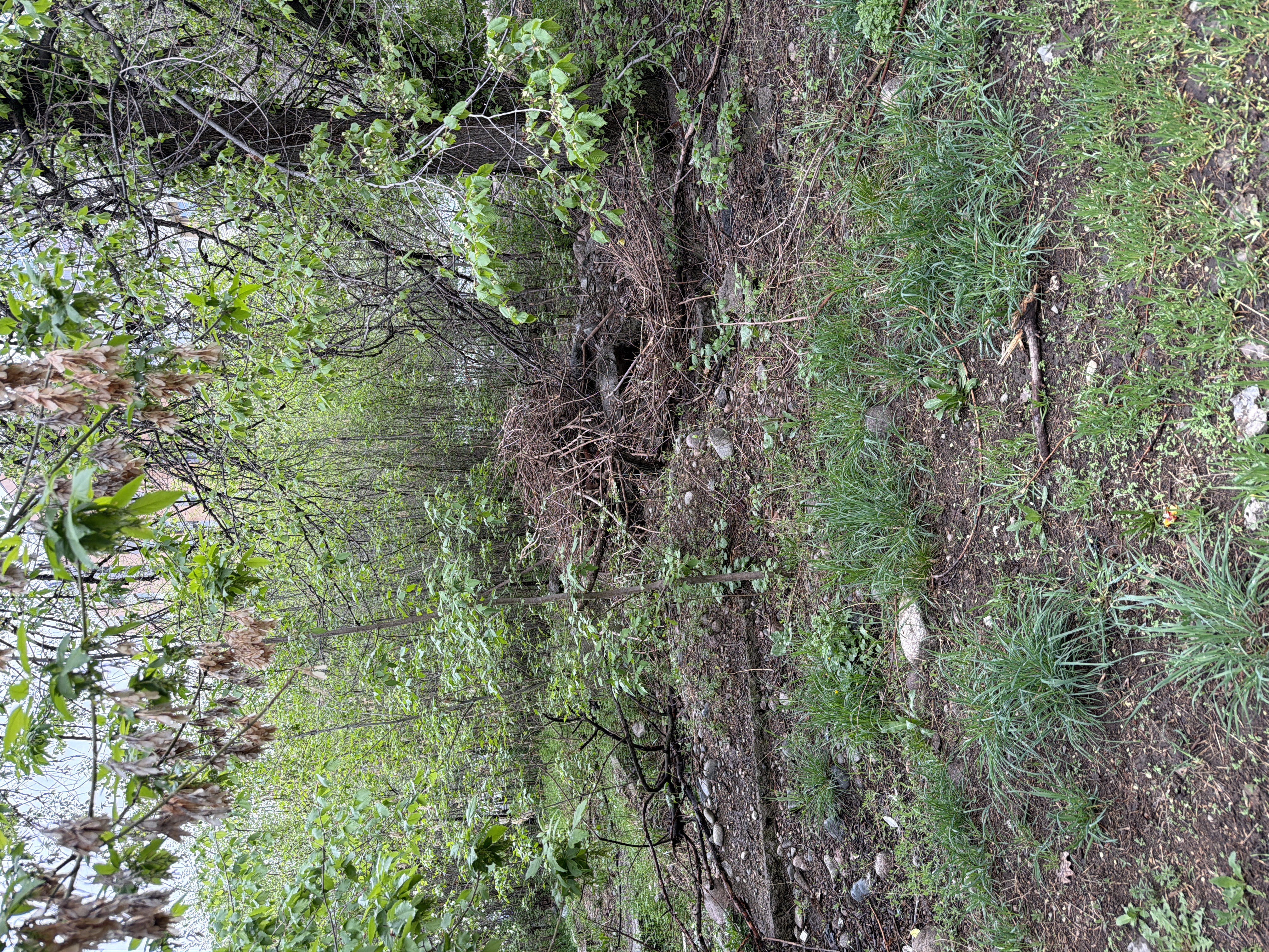 Фото нарушения