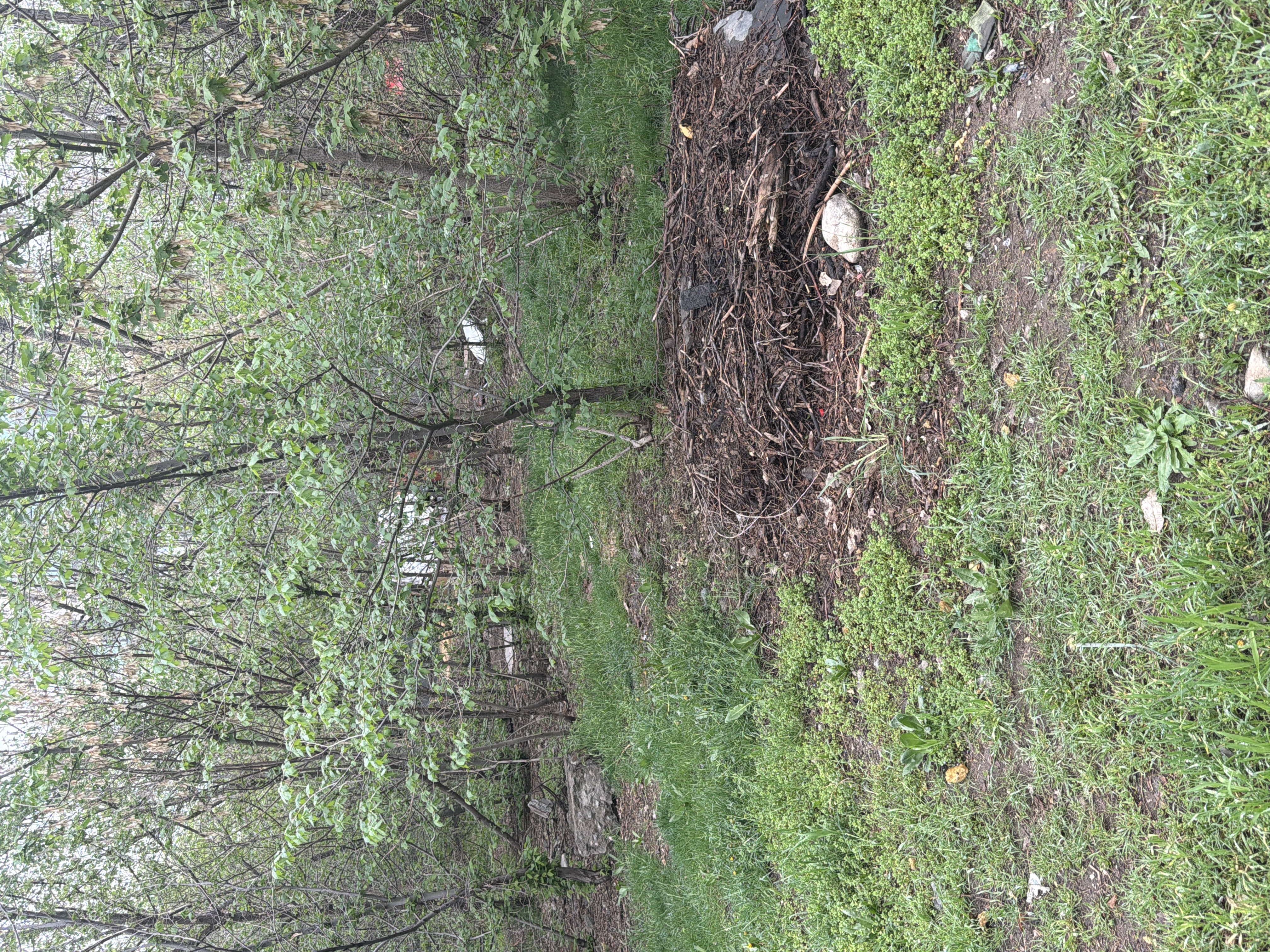 Фото нарушения