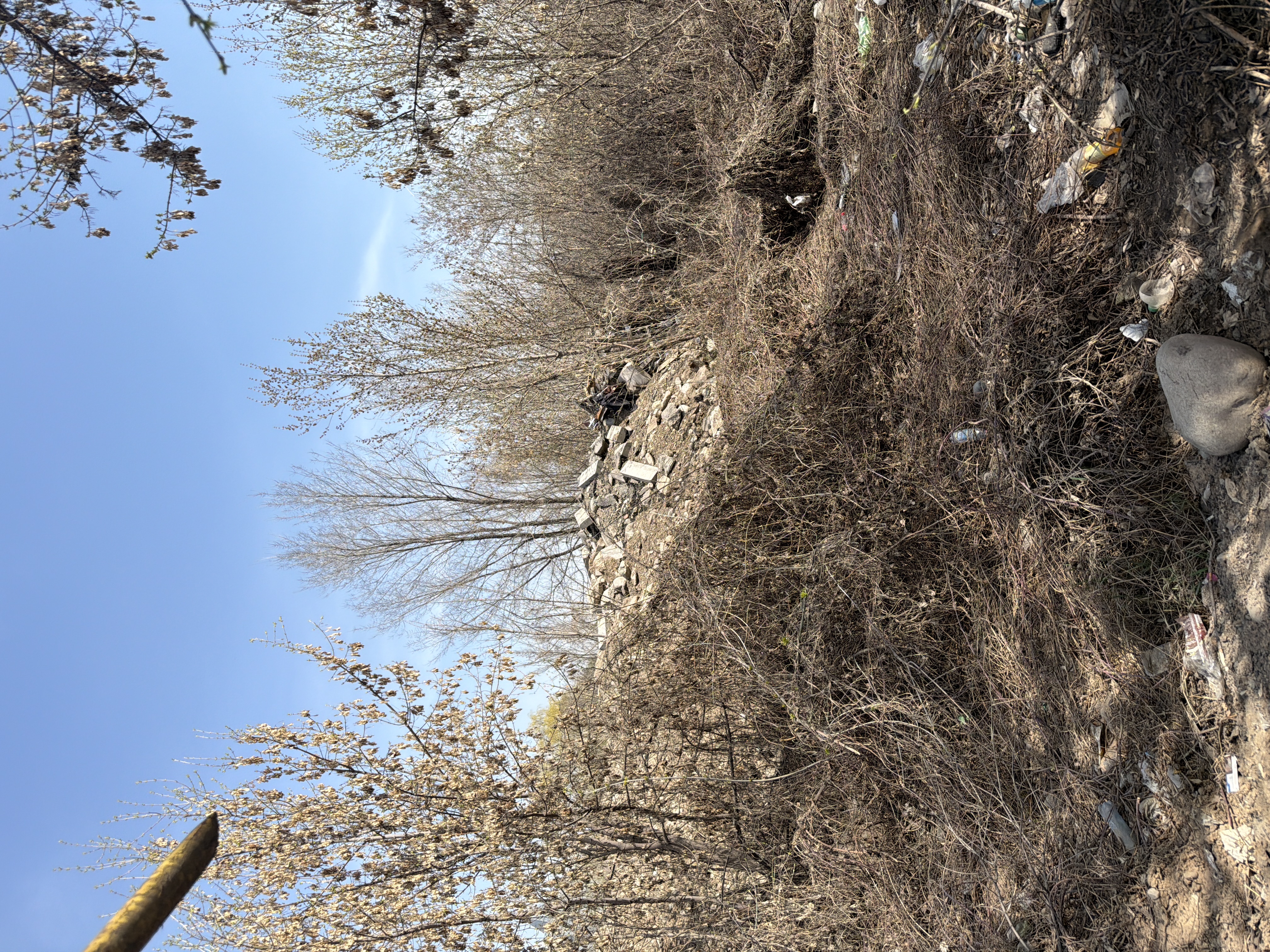 Фото нарушения