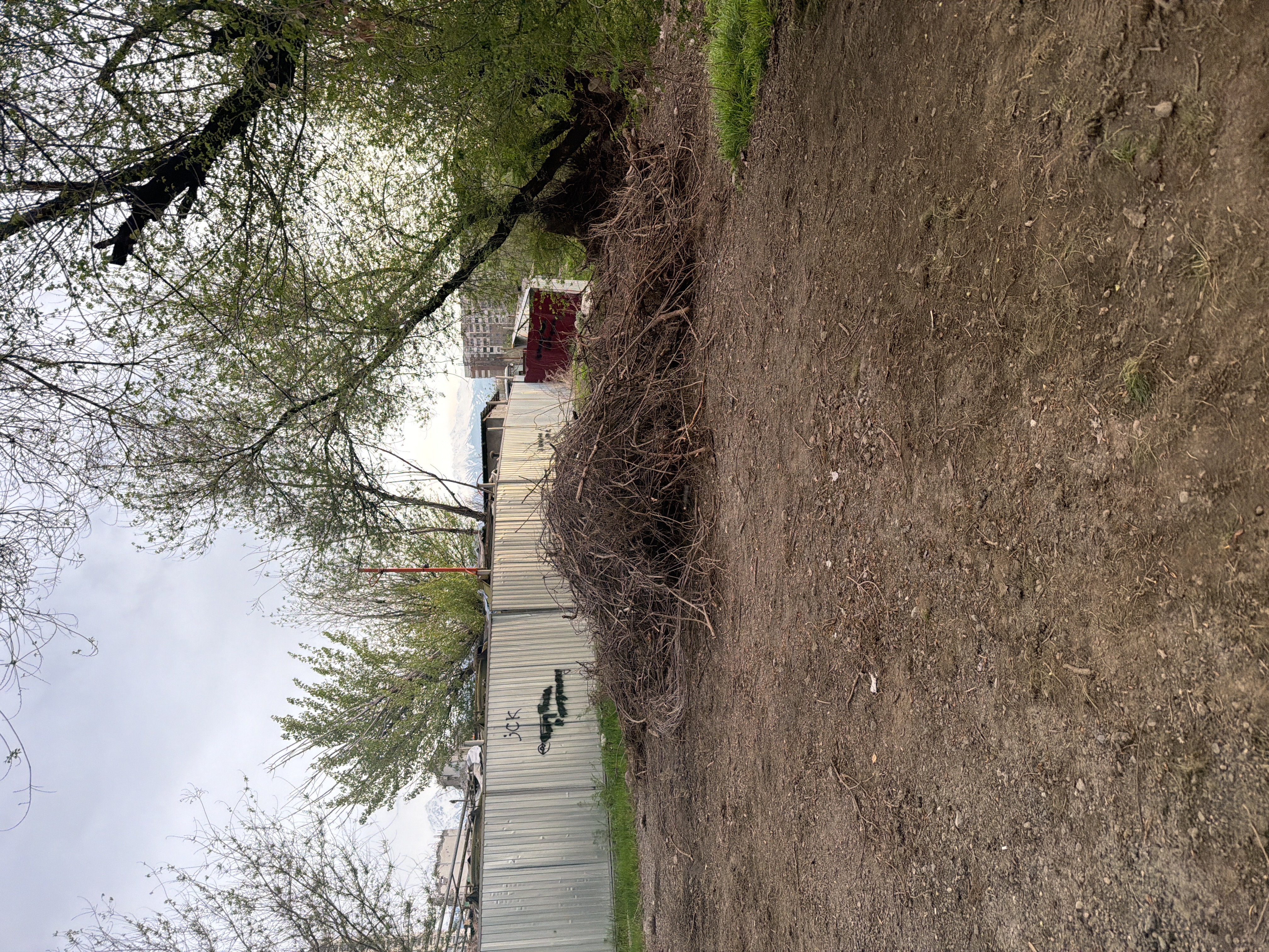 Фото нарушения