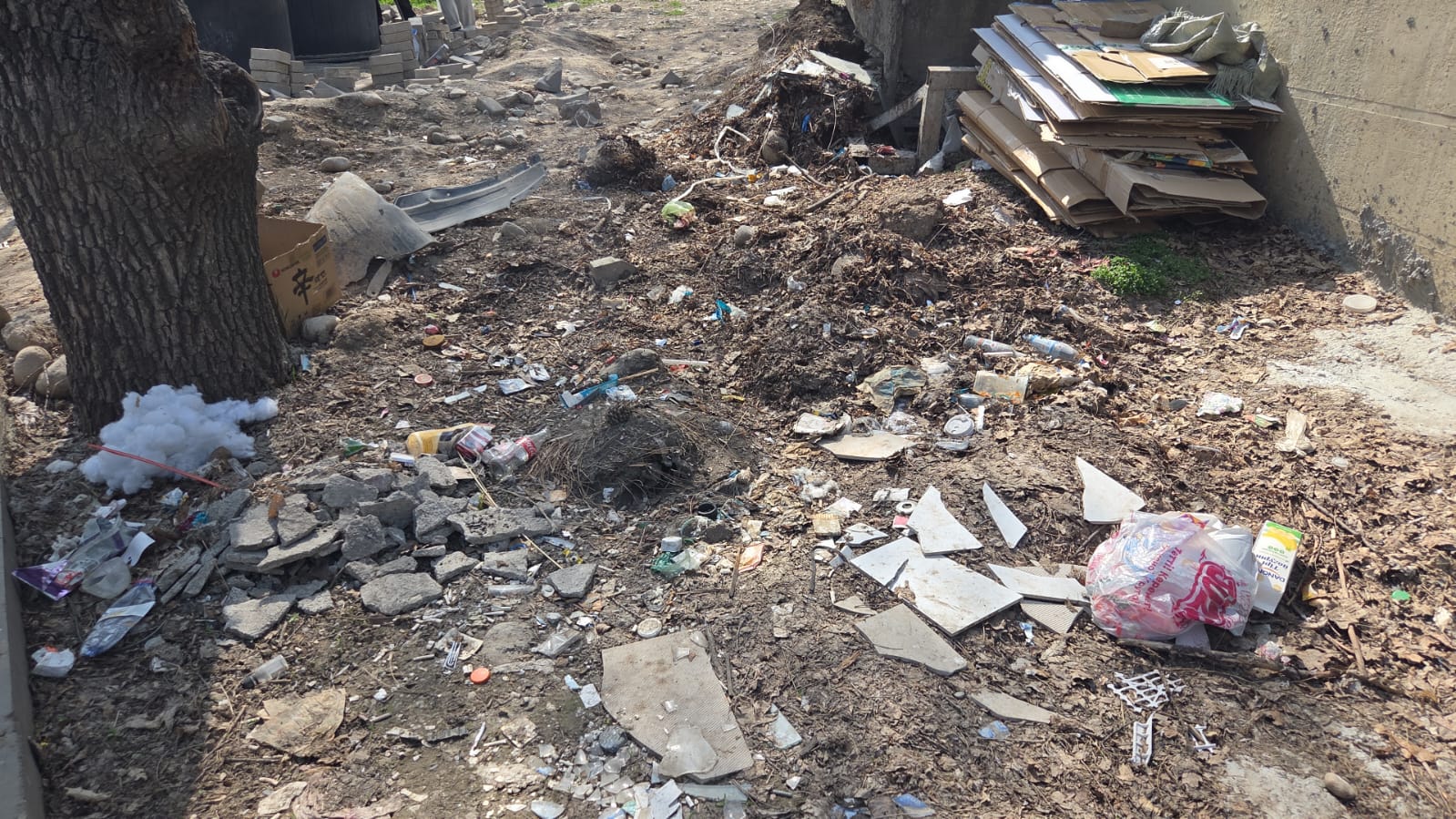 Фото нарушения