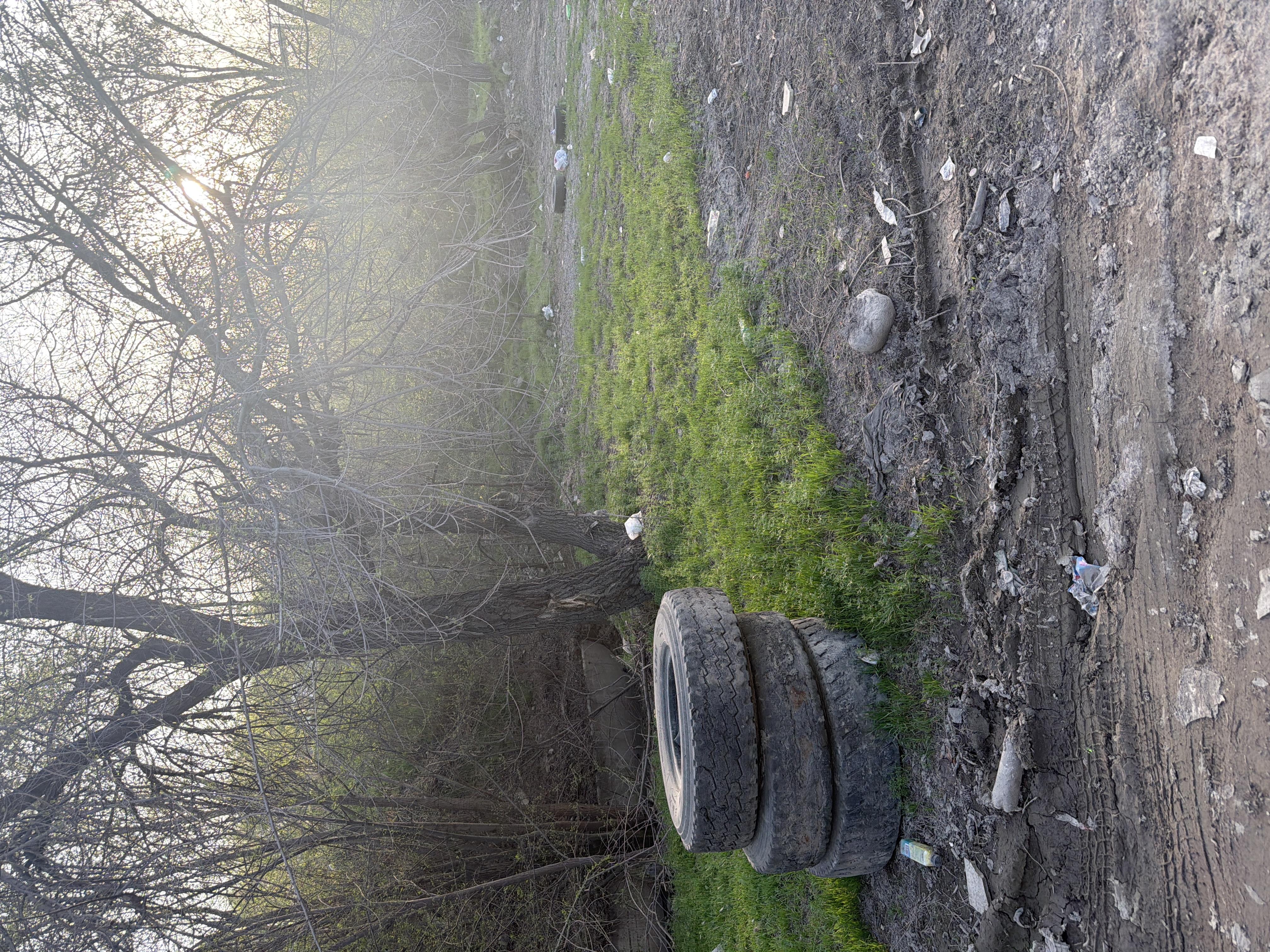 Фото нарушения