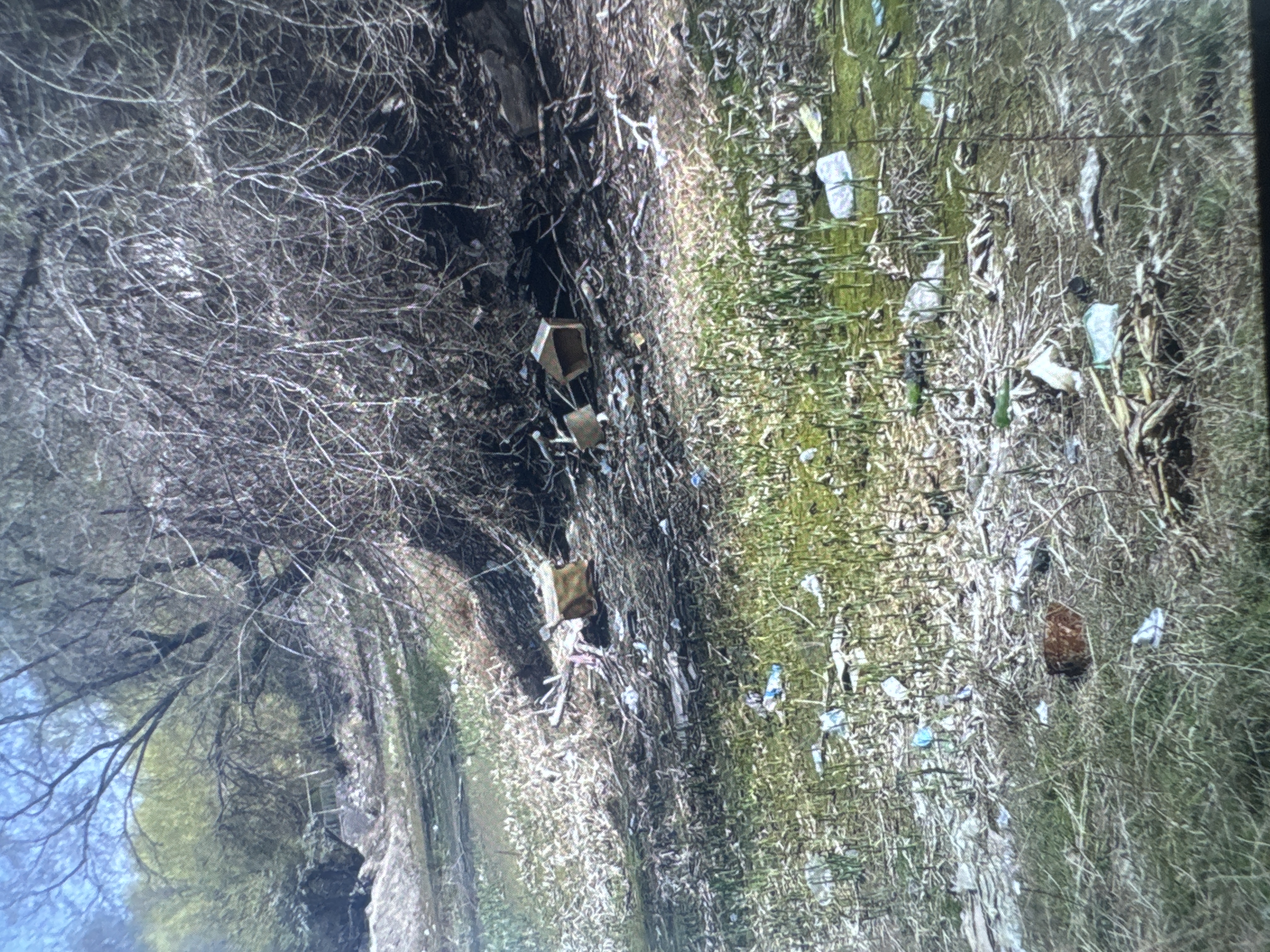 Фото нарушения