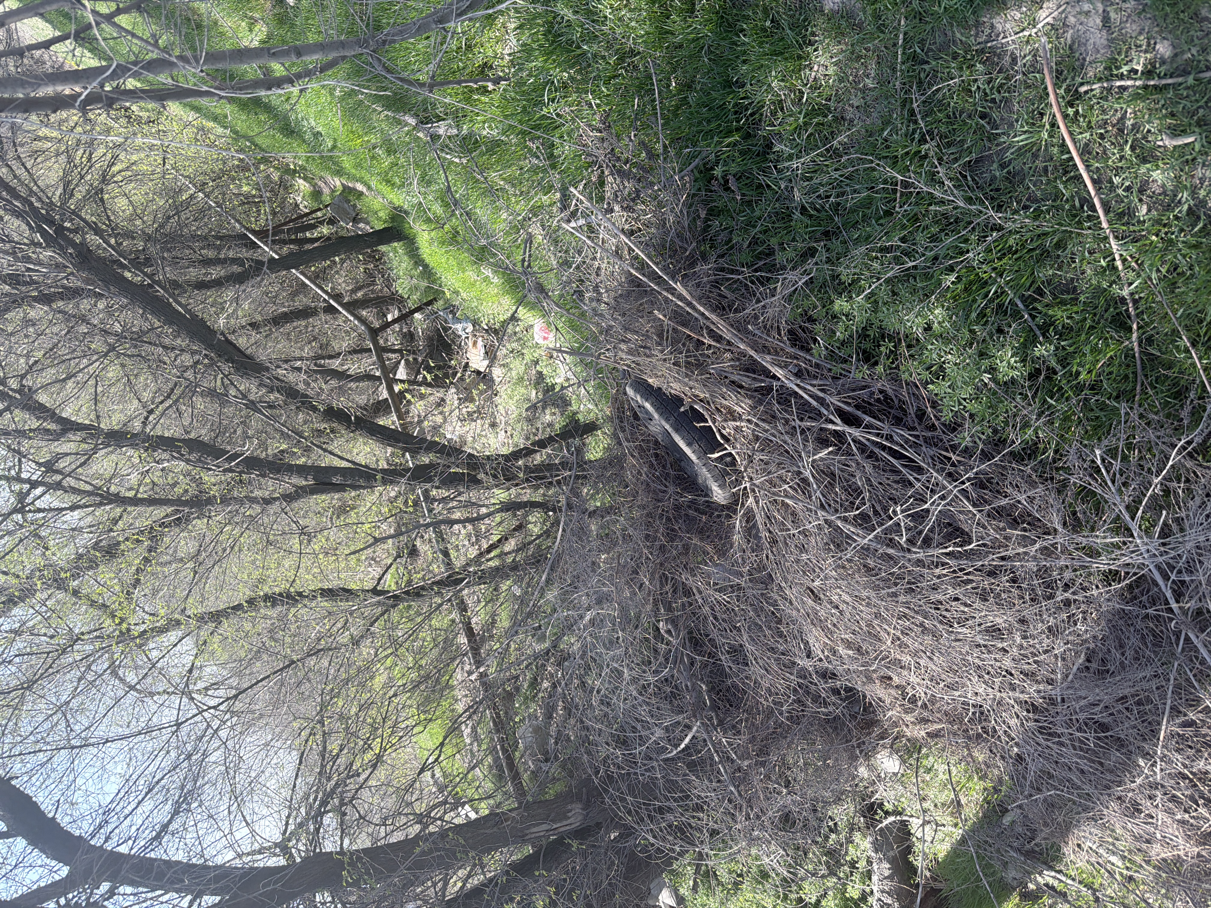 Фото нарушения