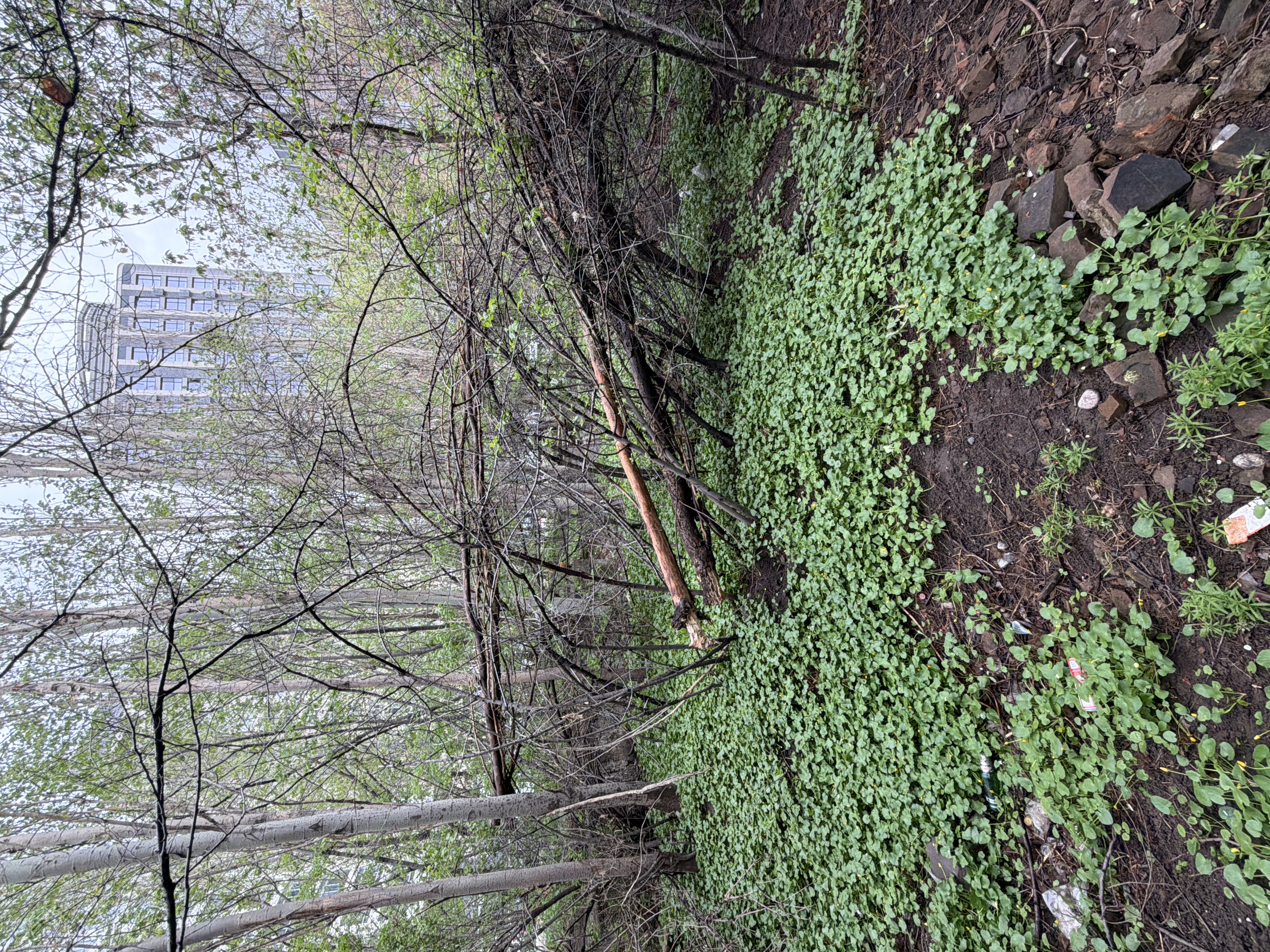 Фото нарушения