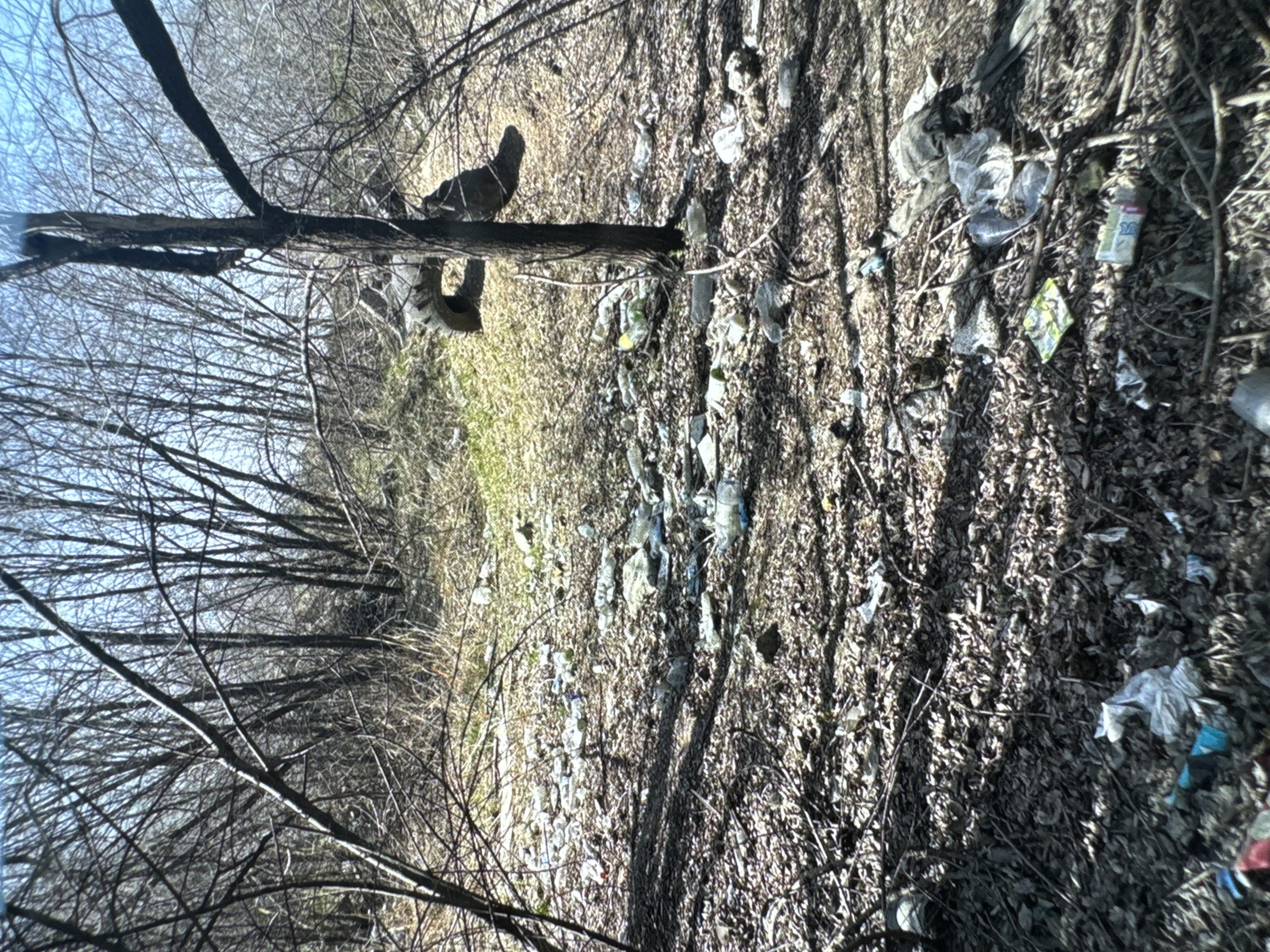 Фото нарушения