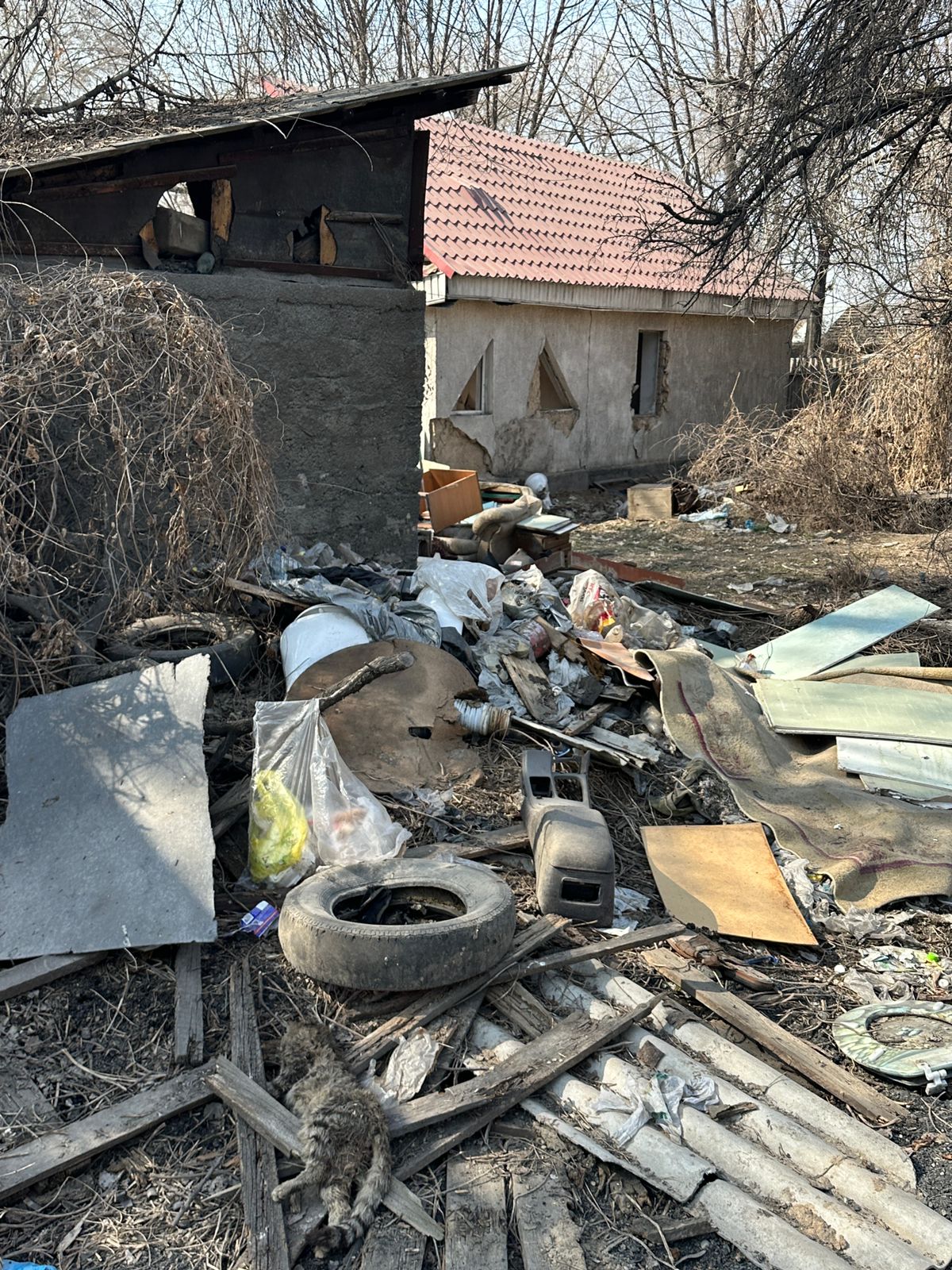 Фото нарушения