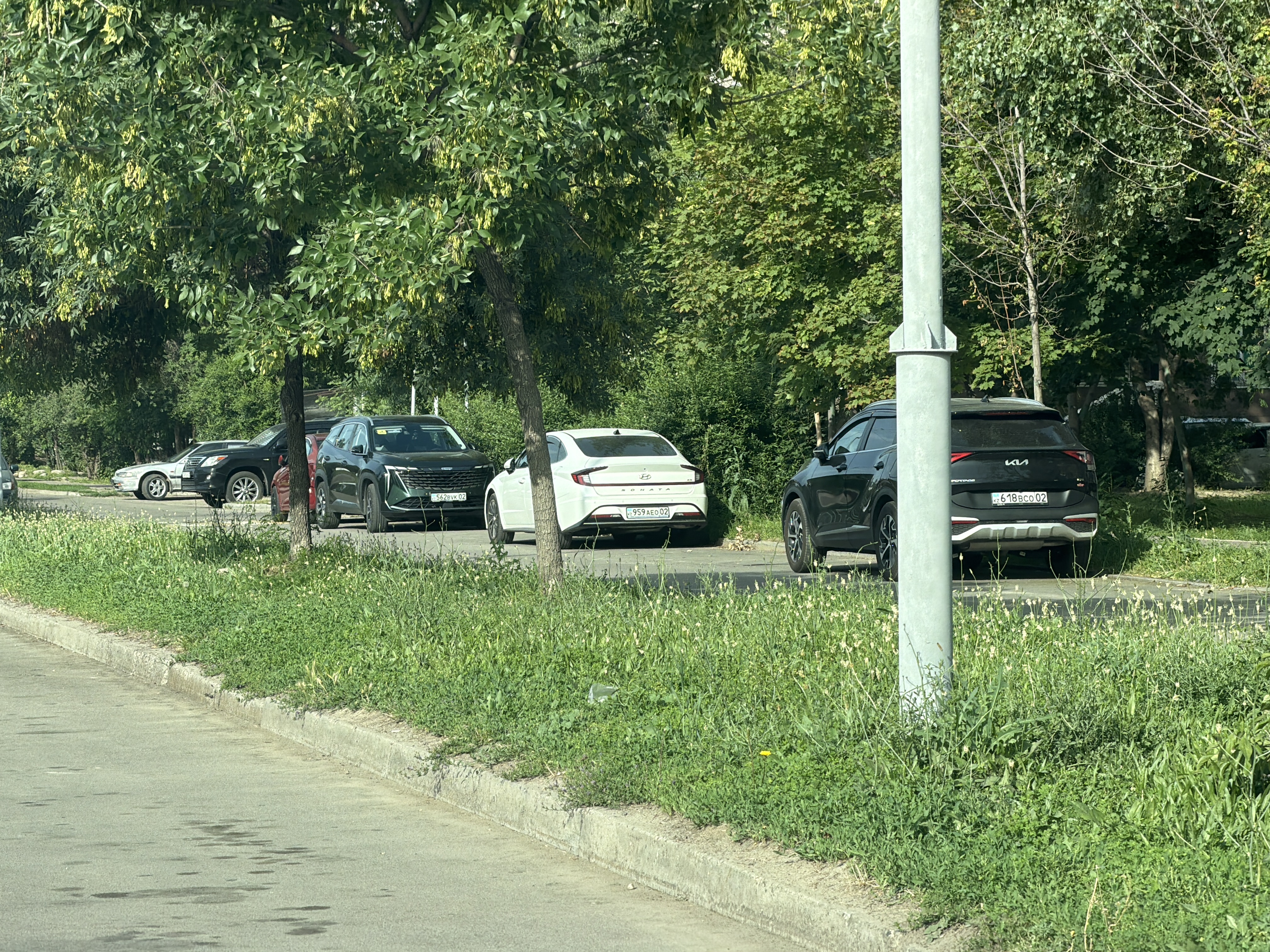 Фото нарушения