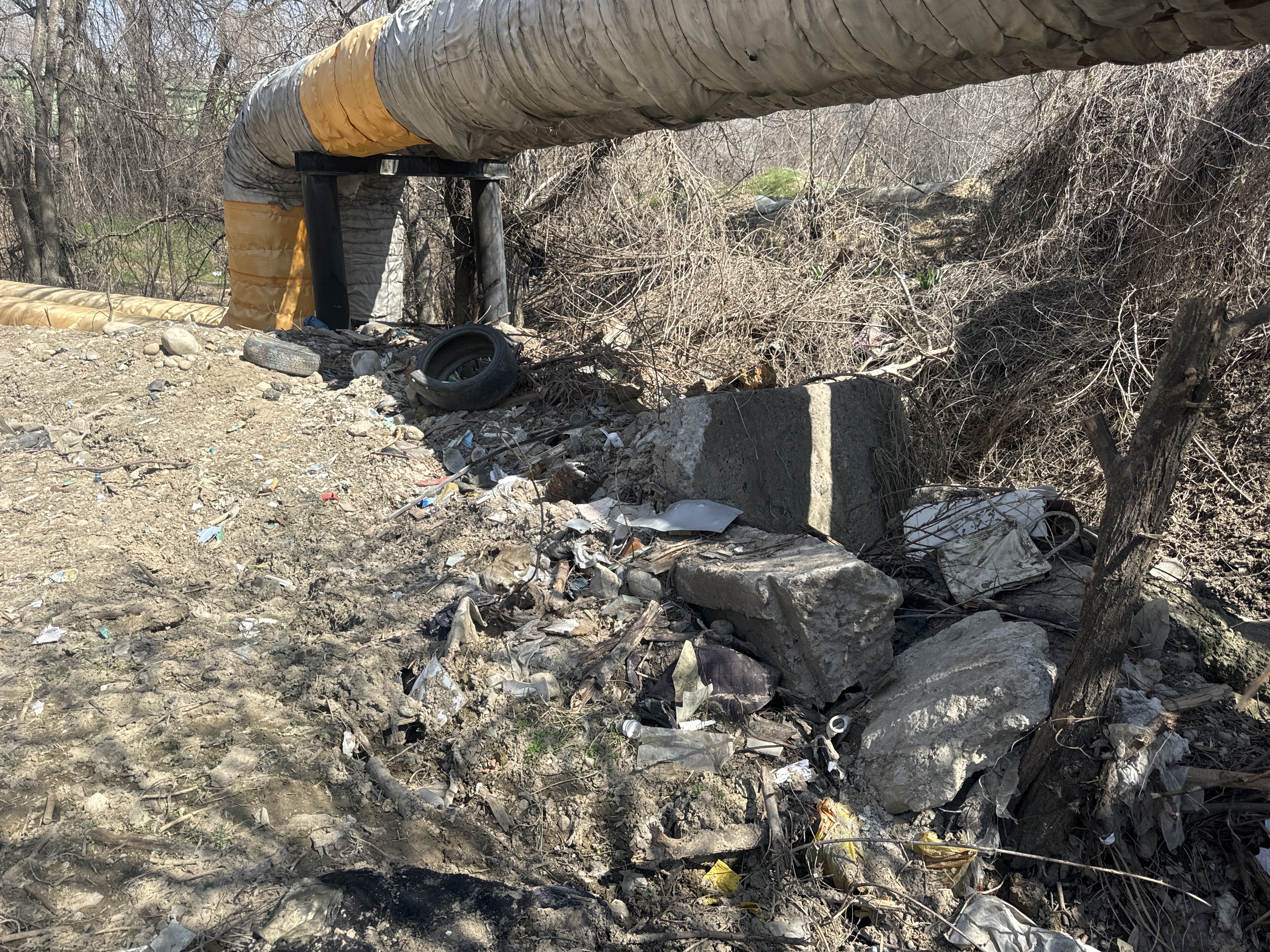 Фото нарушения