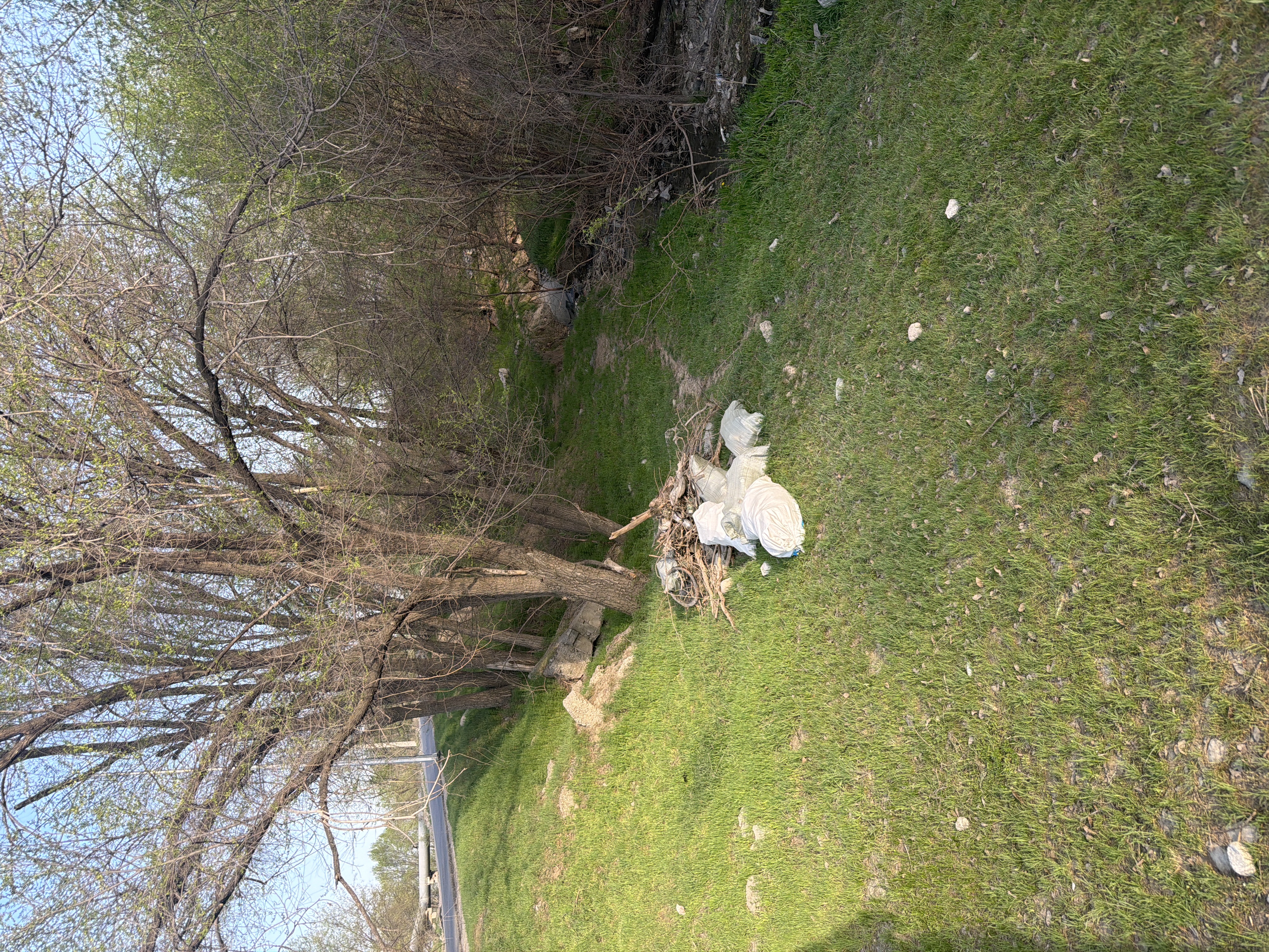 Фото нарушения