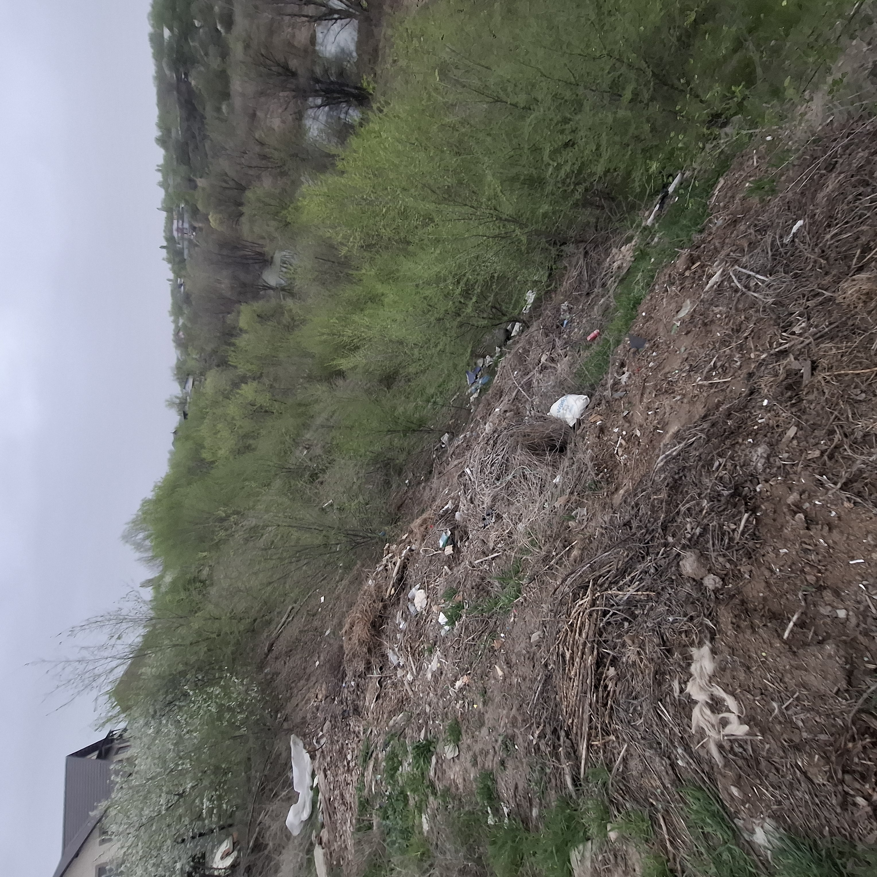 Фото нарушения