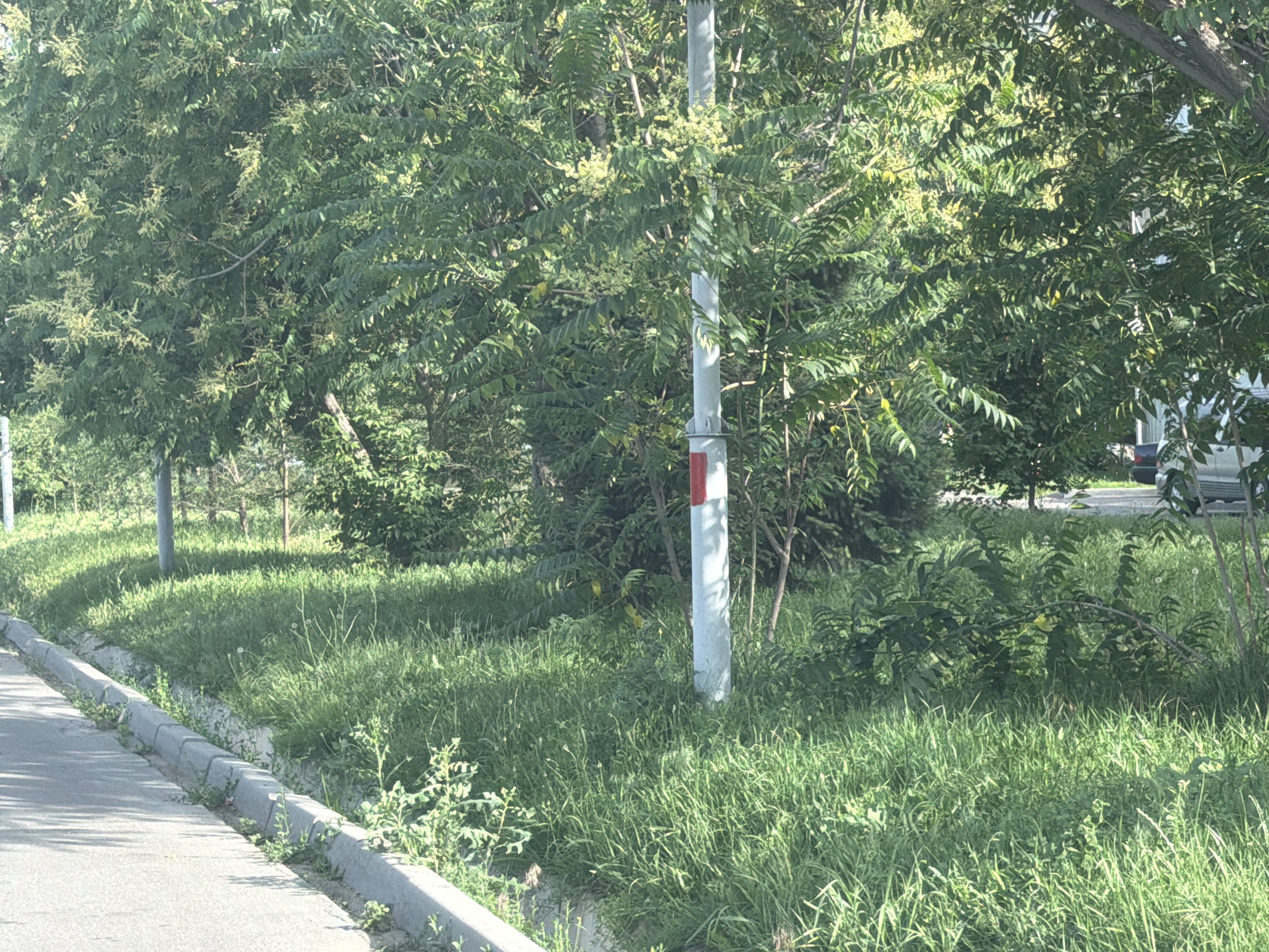 Фото нарушения