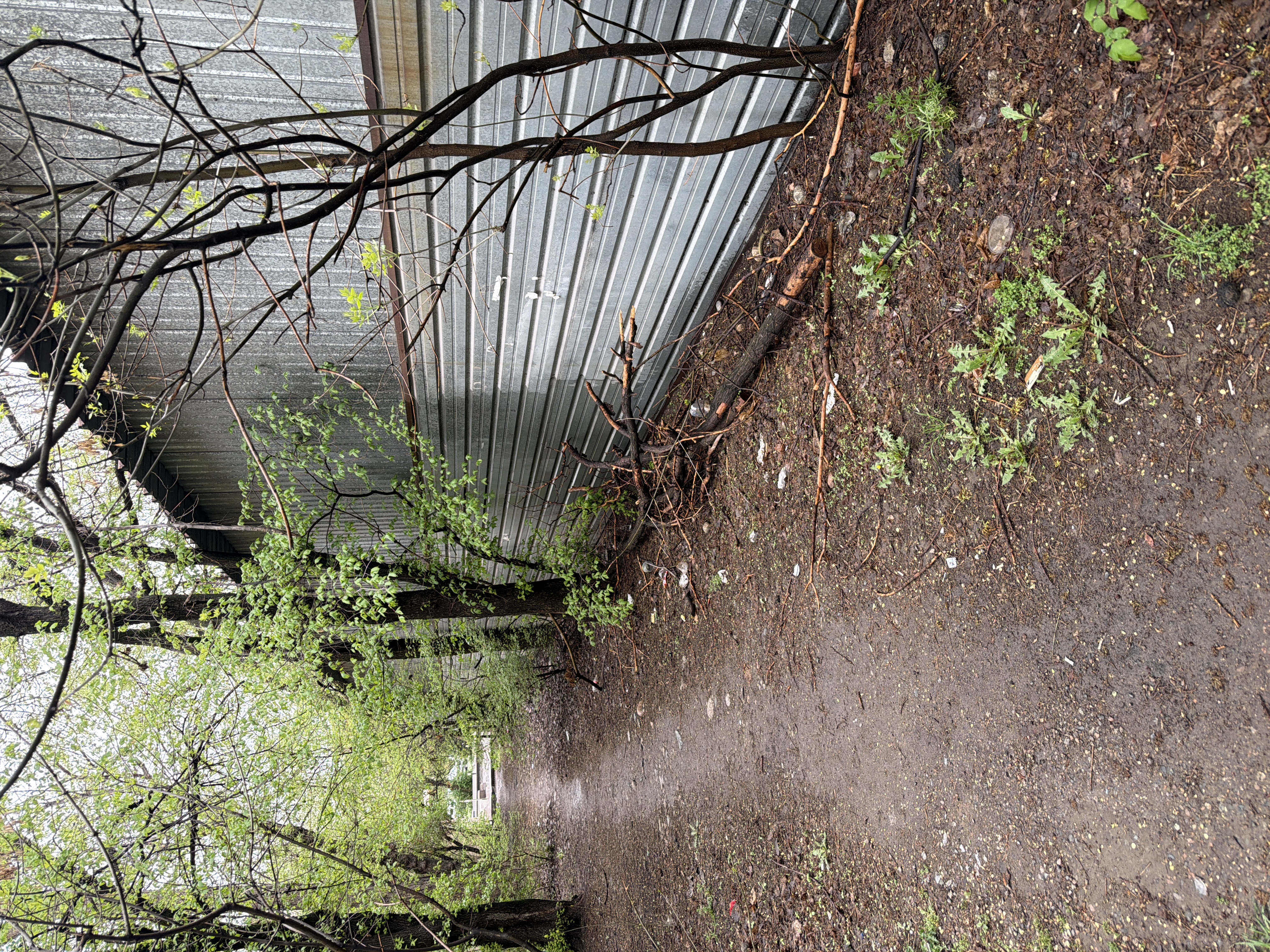 Фото нарушения