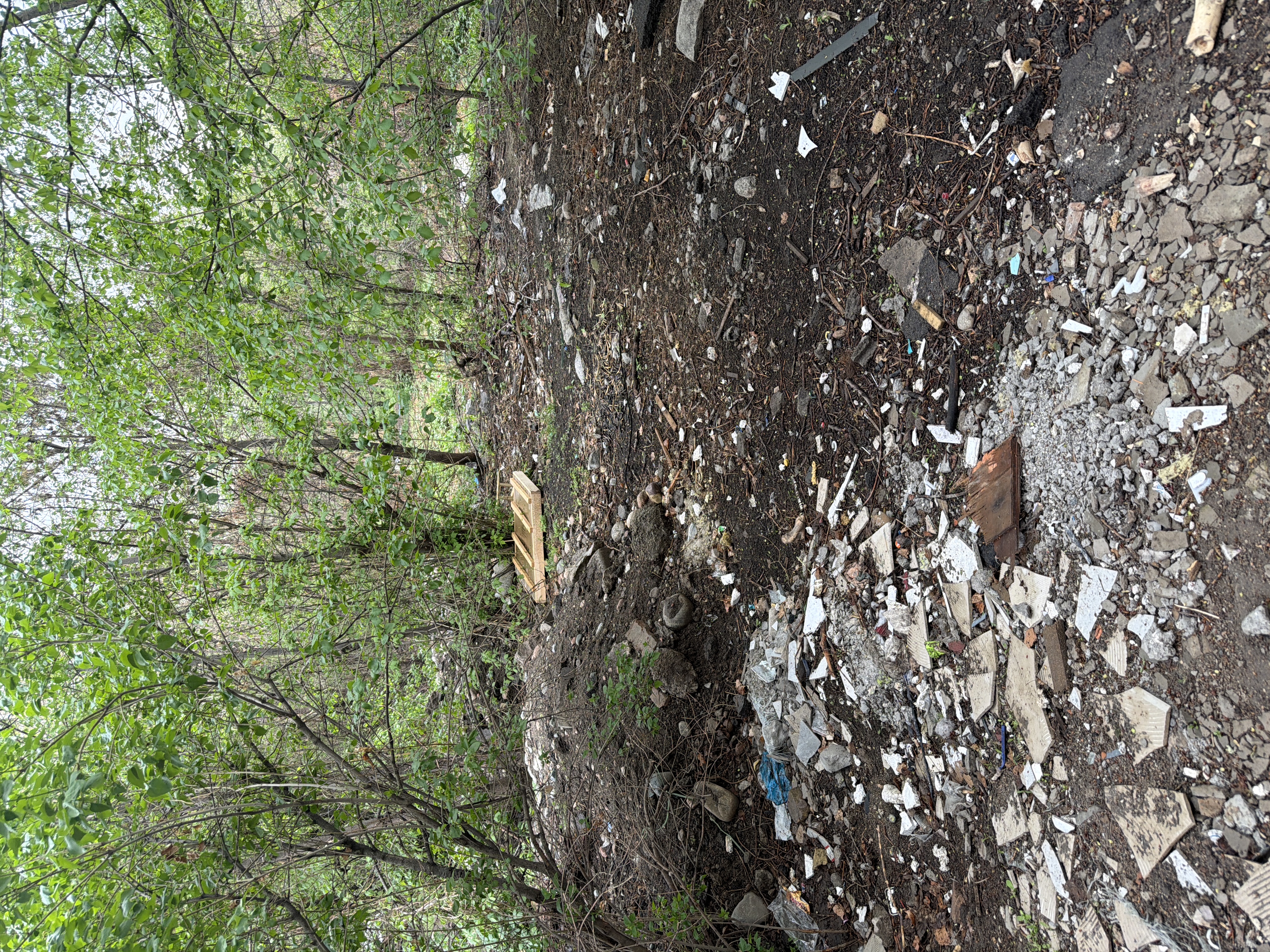 Фото нарушения