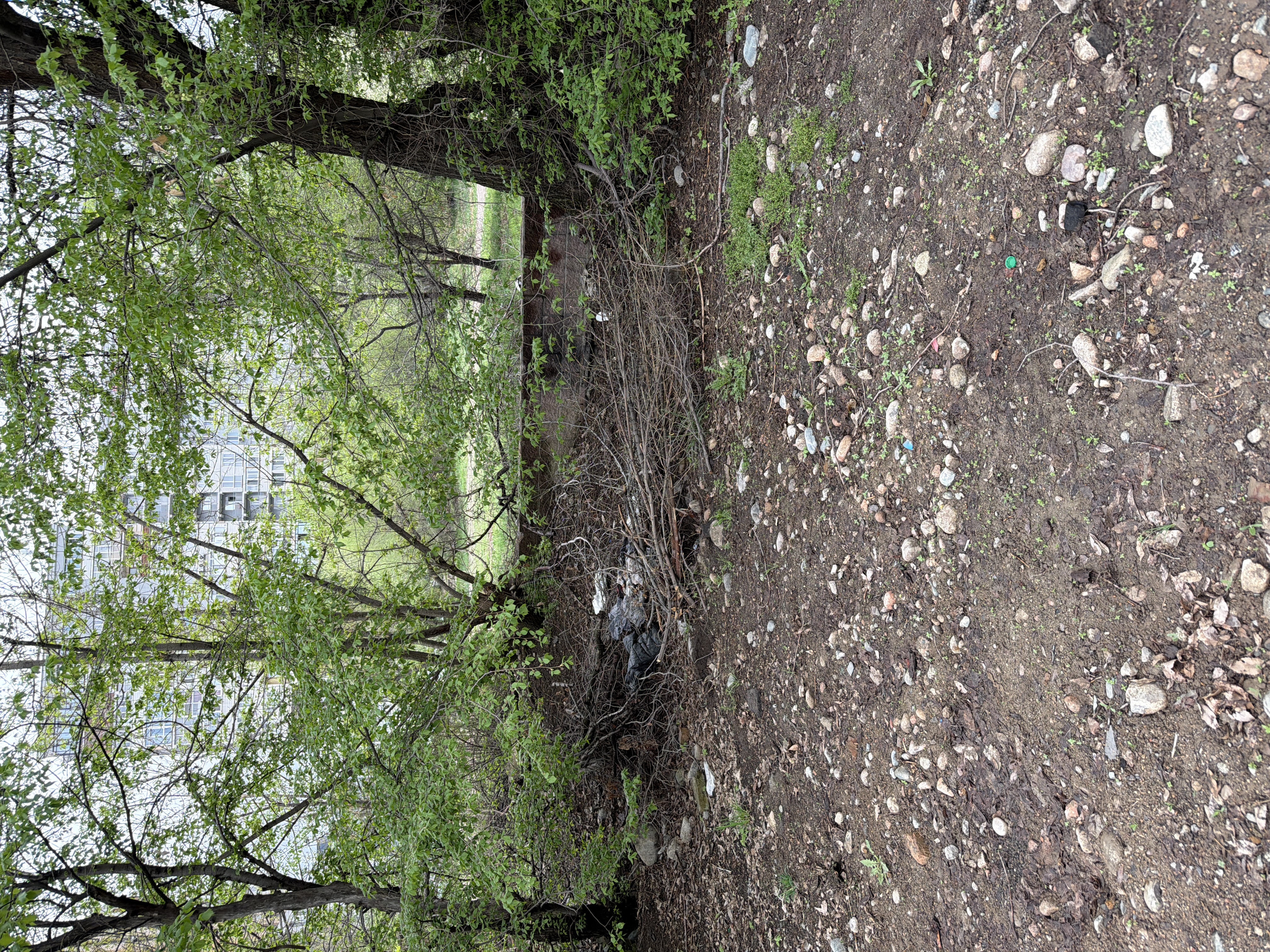 Фото нарушения