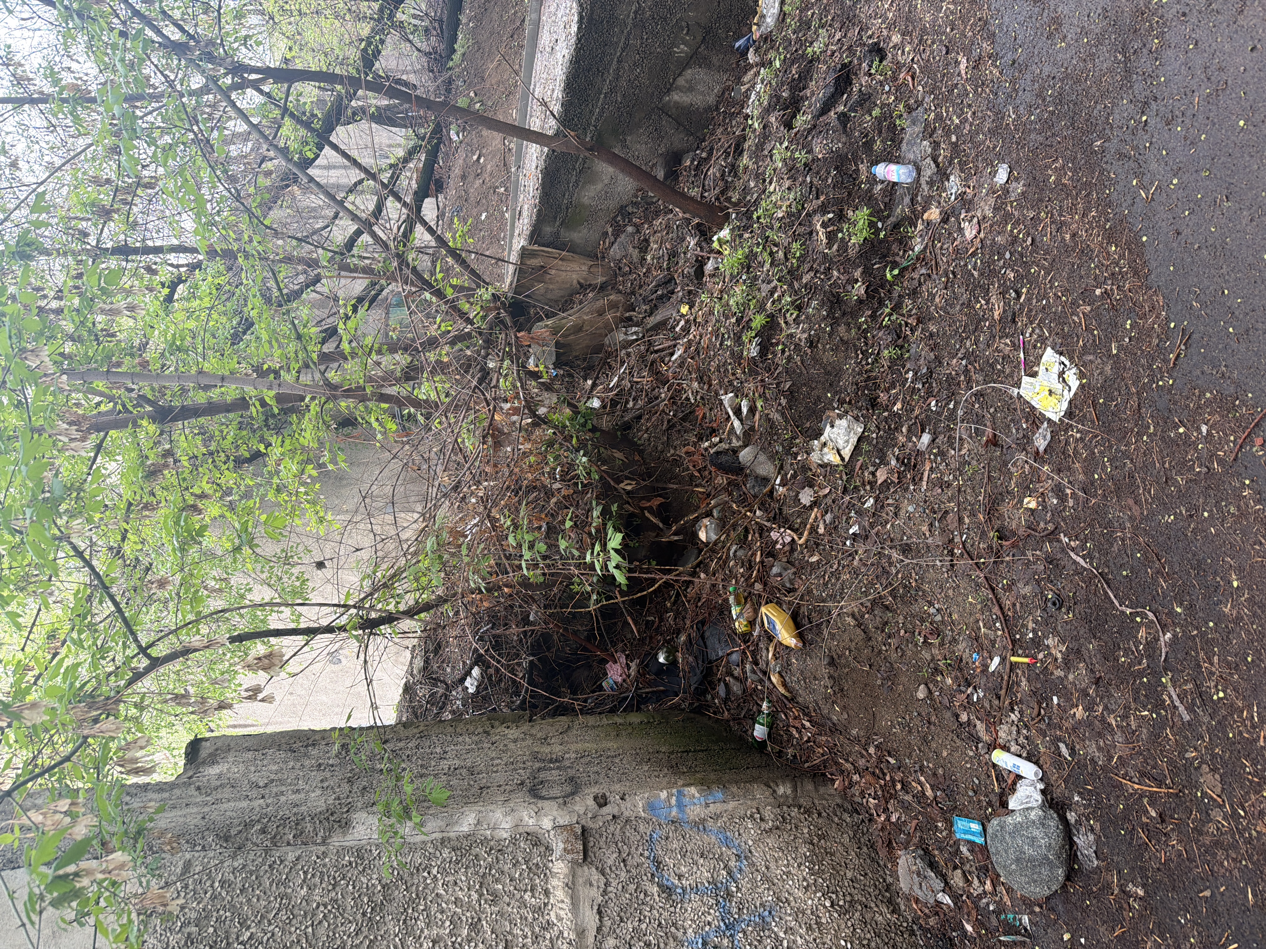 Фото нарушения