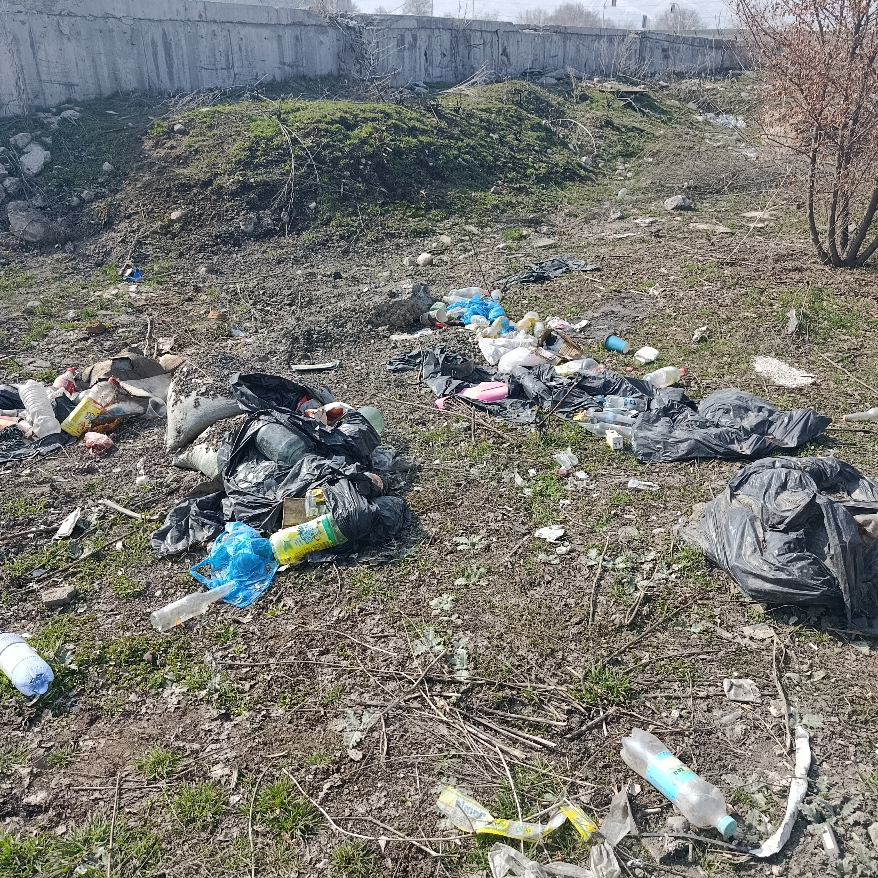 Фото нарушения