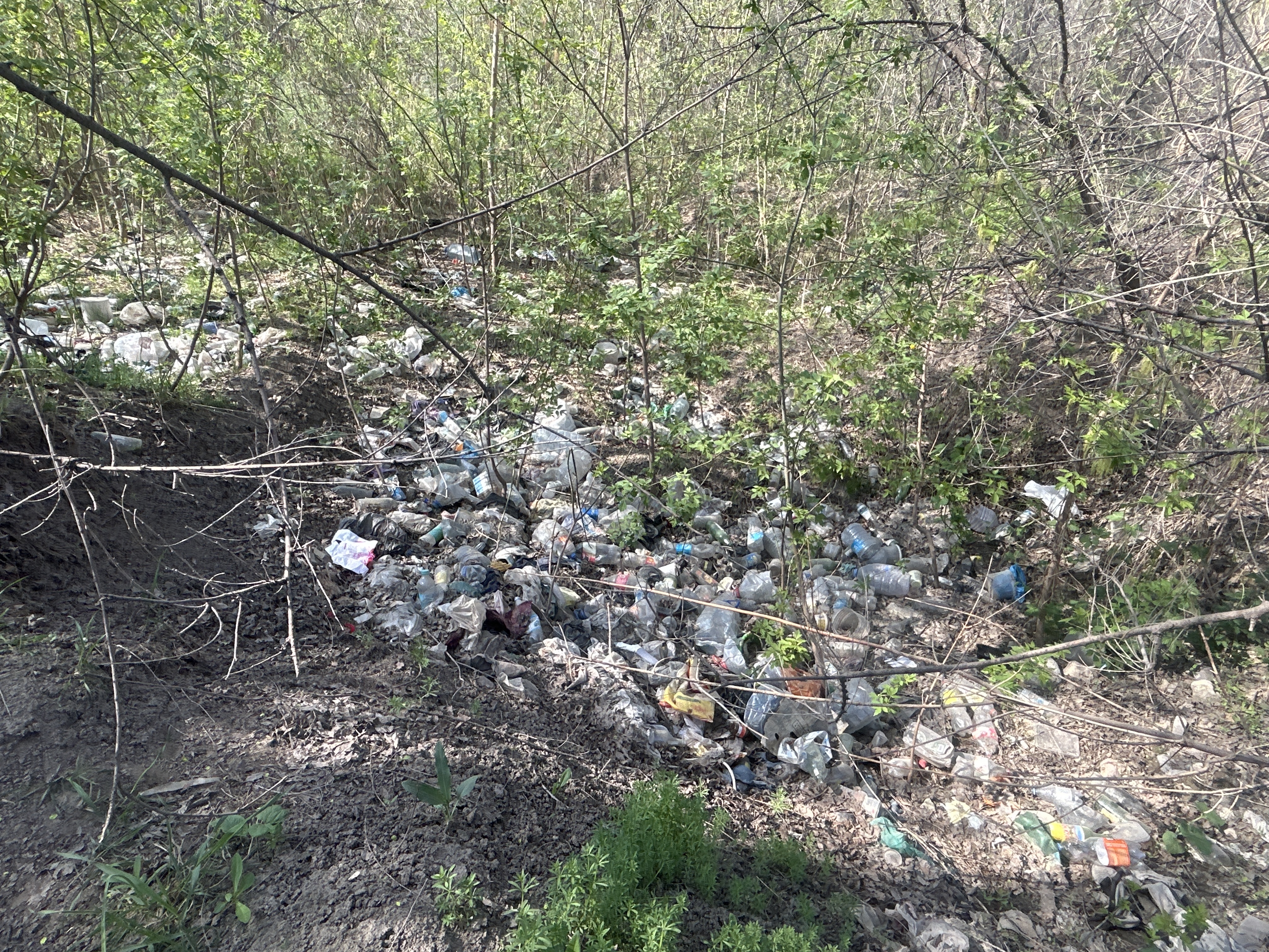 Фото нарушения