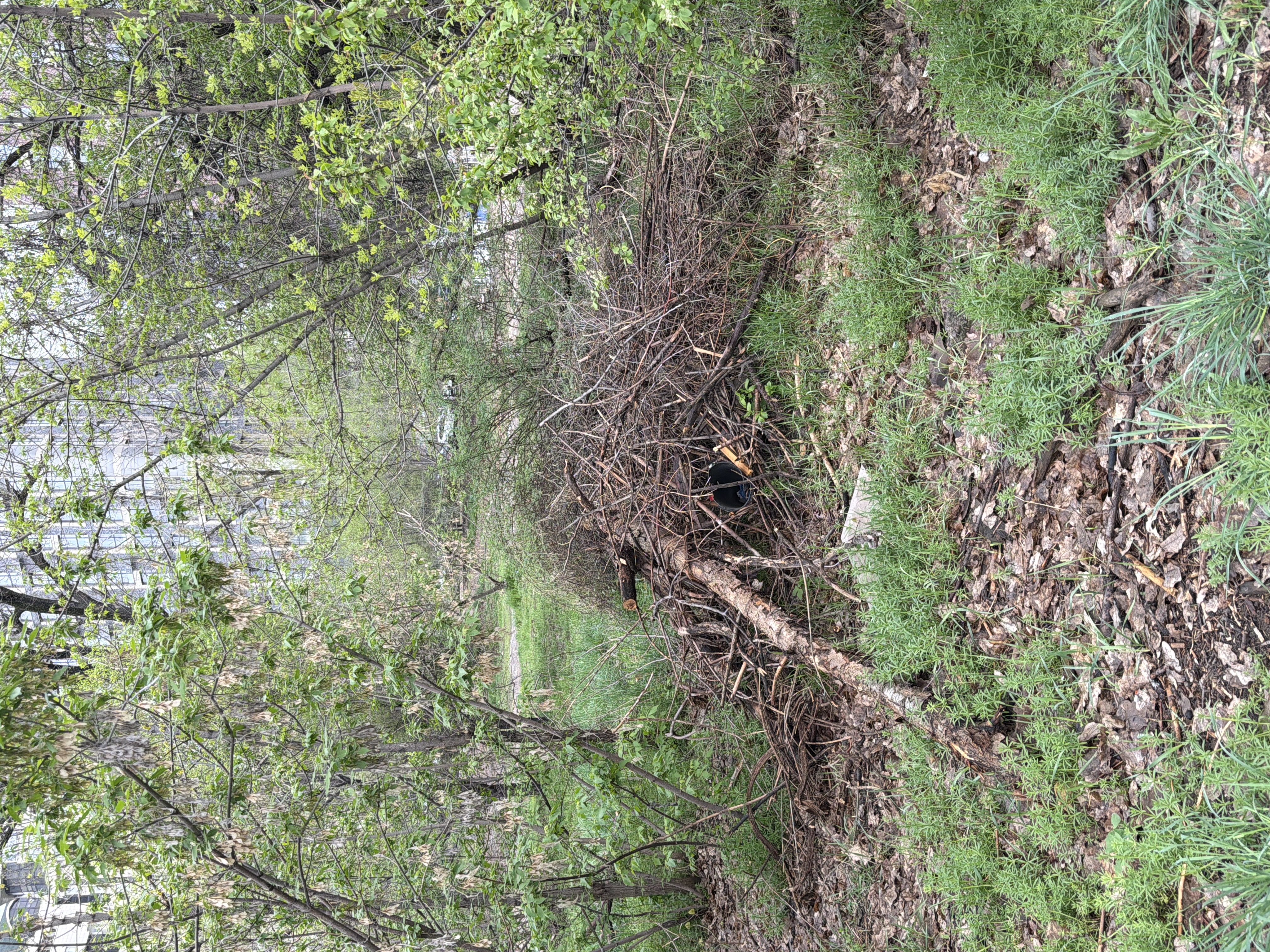 Фото нарушения