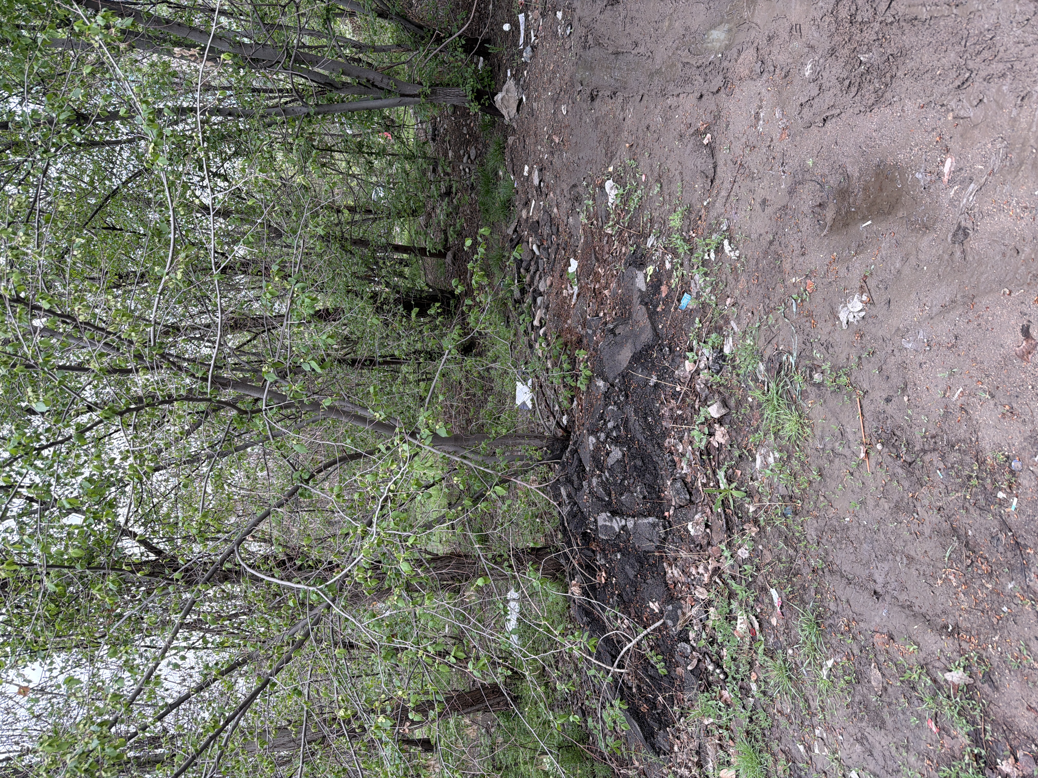 Фото нарушения