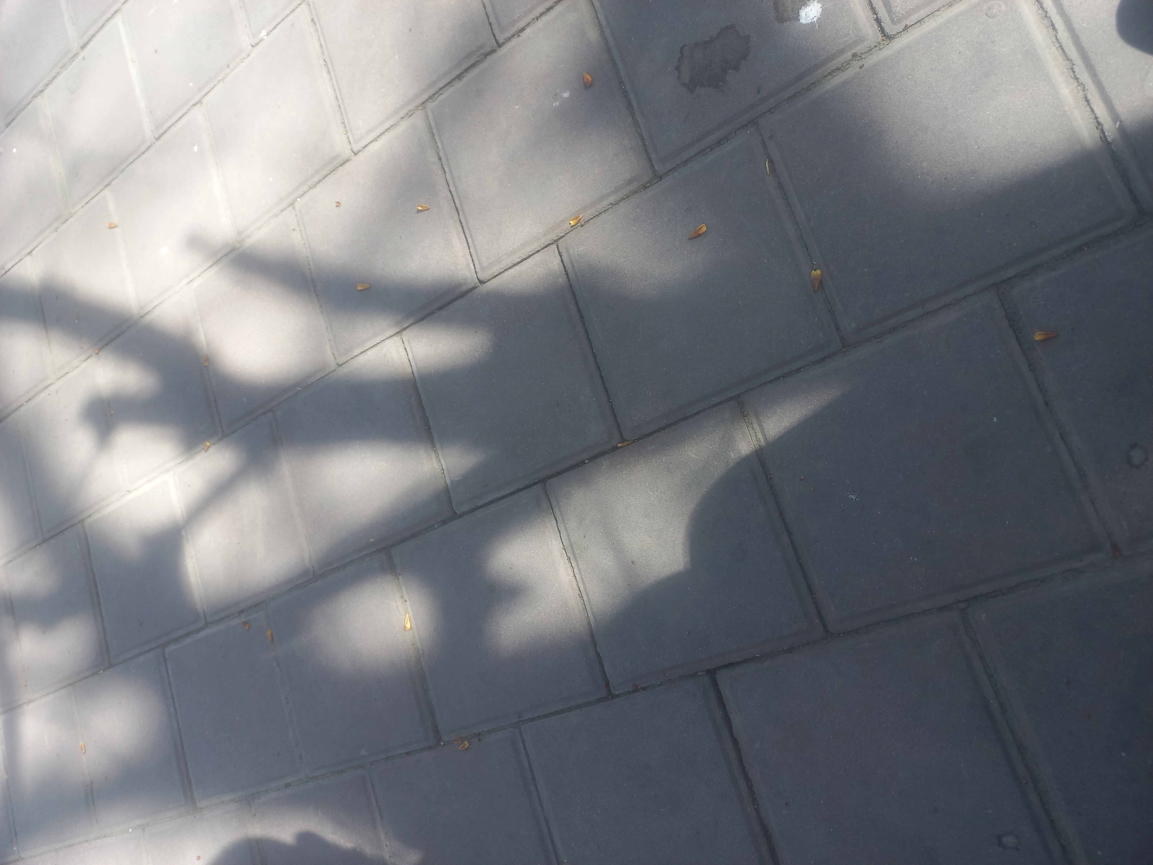 Фото нарушения