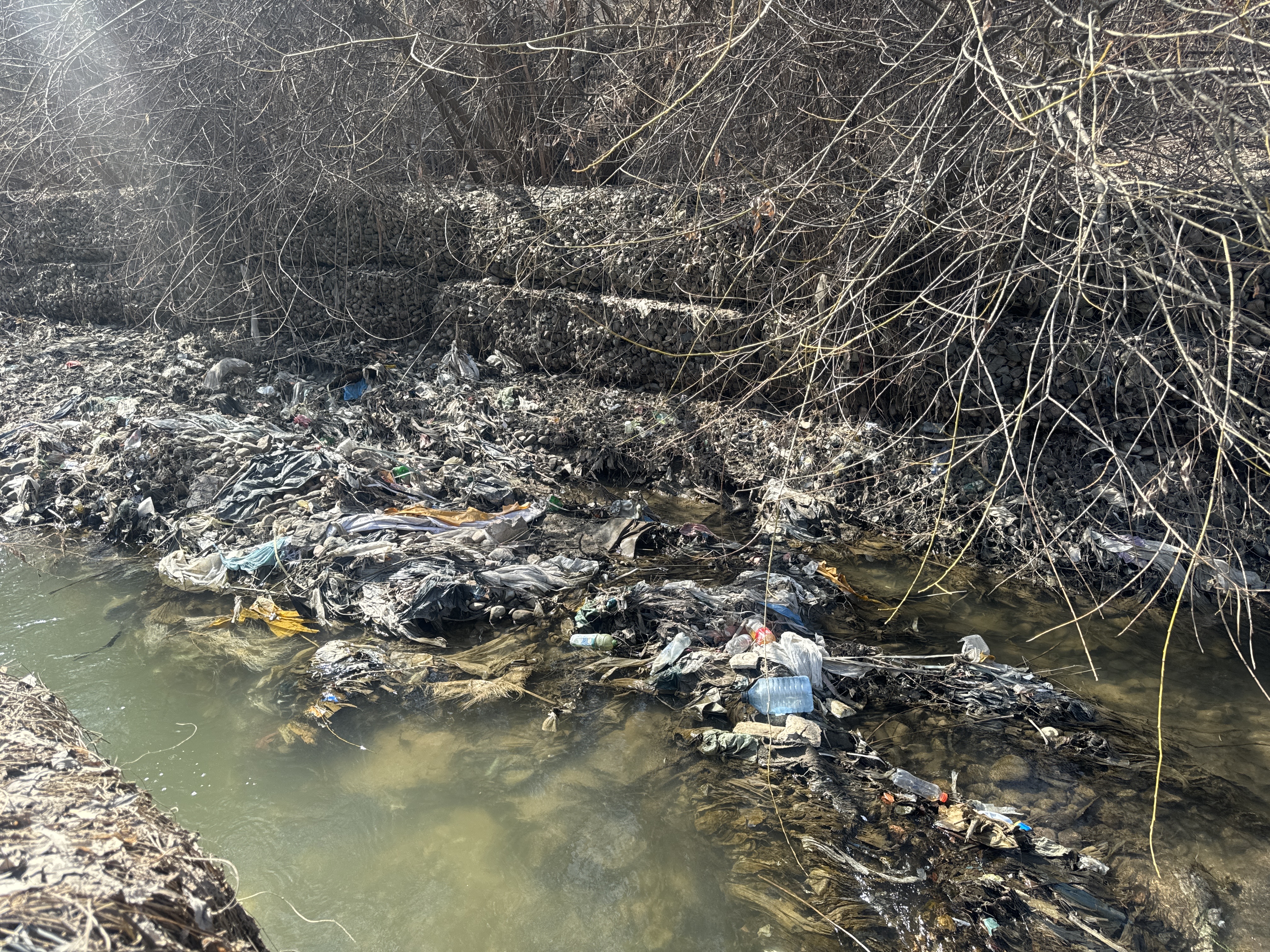 Фото нарушения