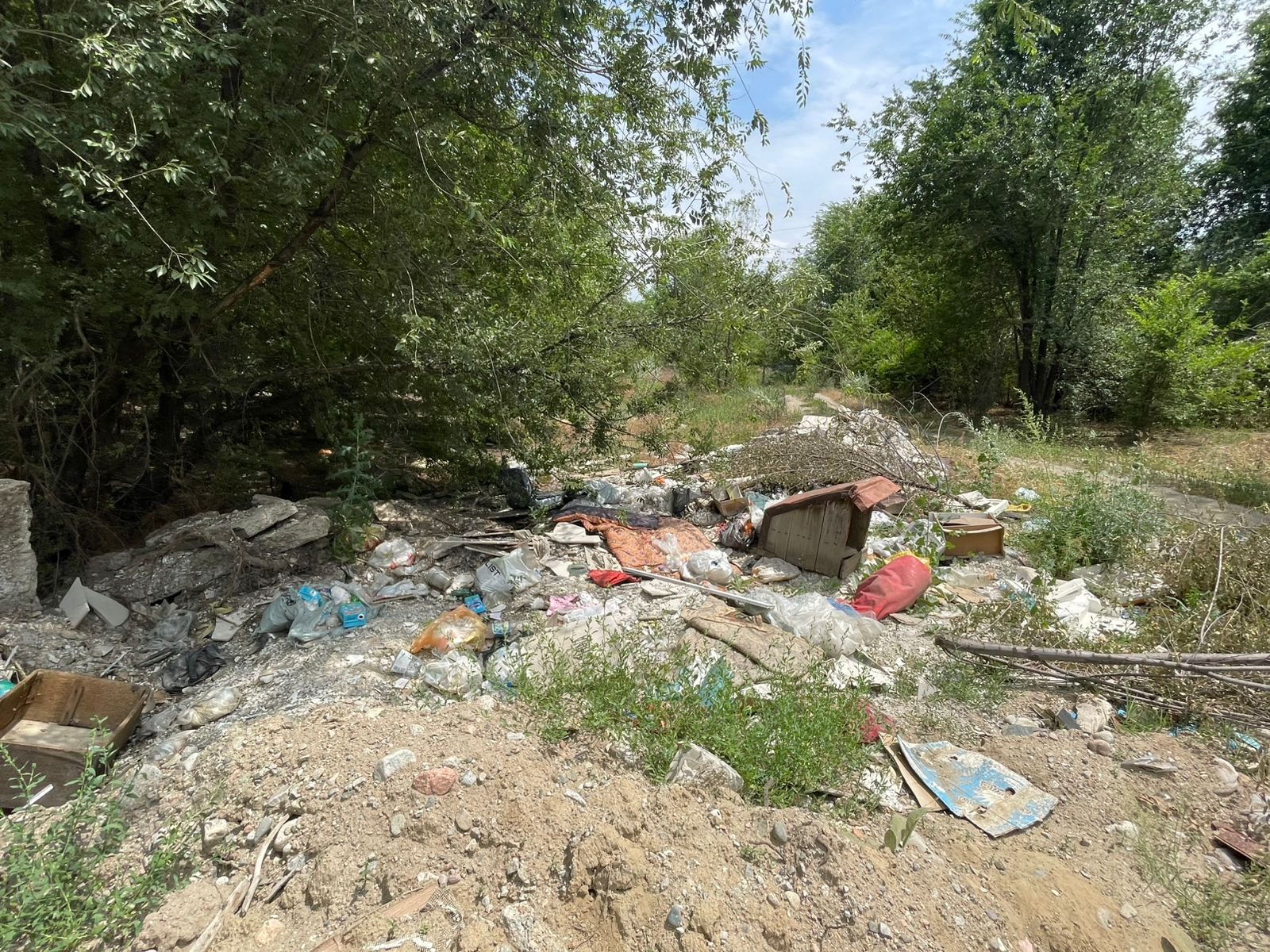 Бұзушылық фотосы