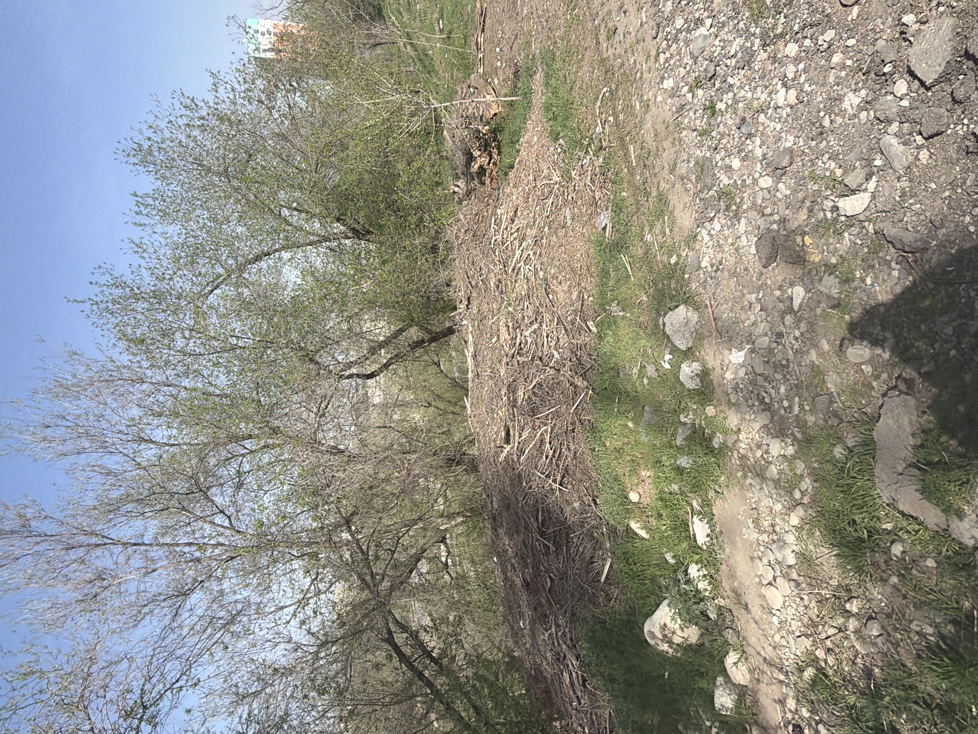 Фото нарушения