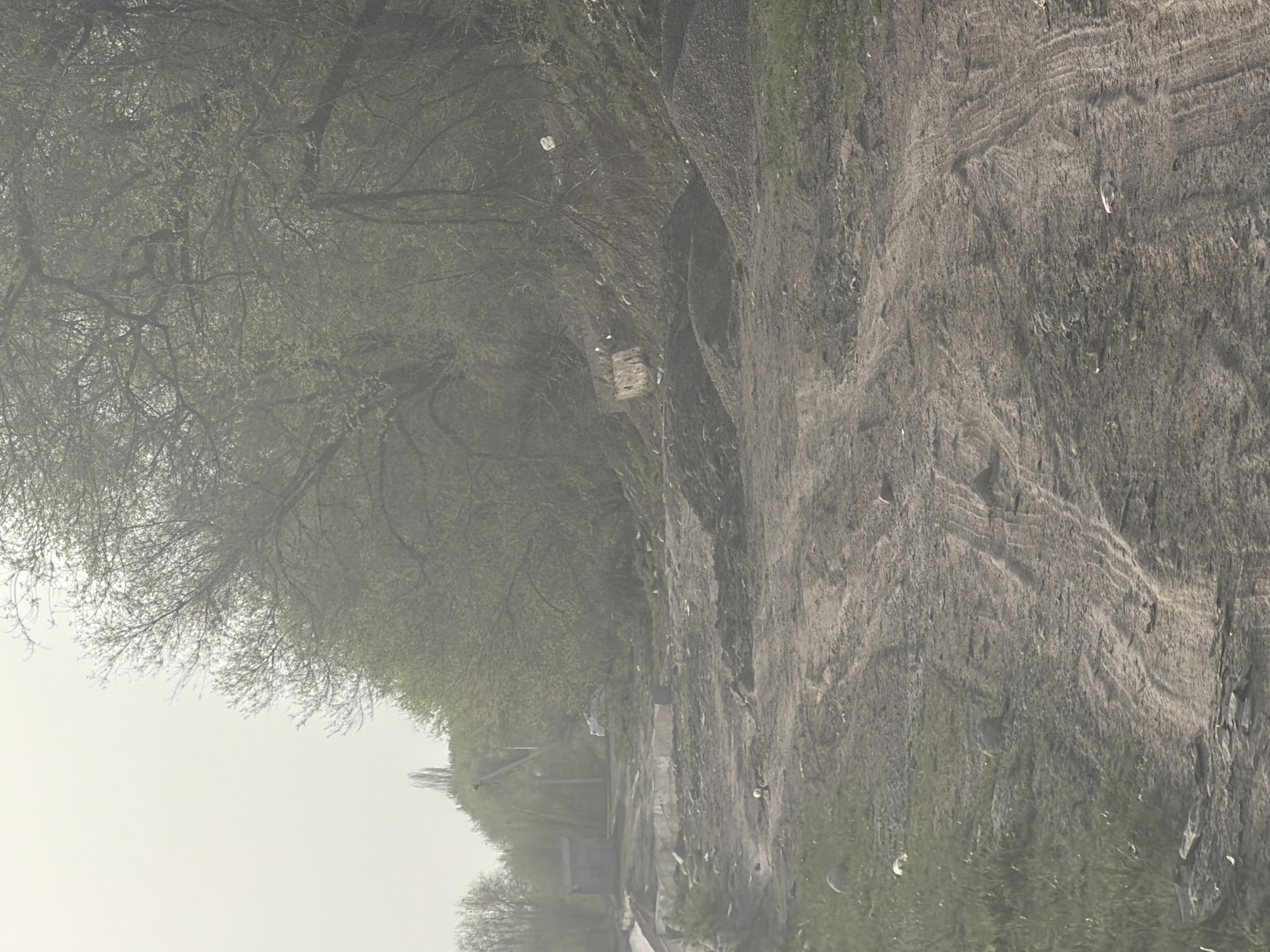 Фото нарушения