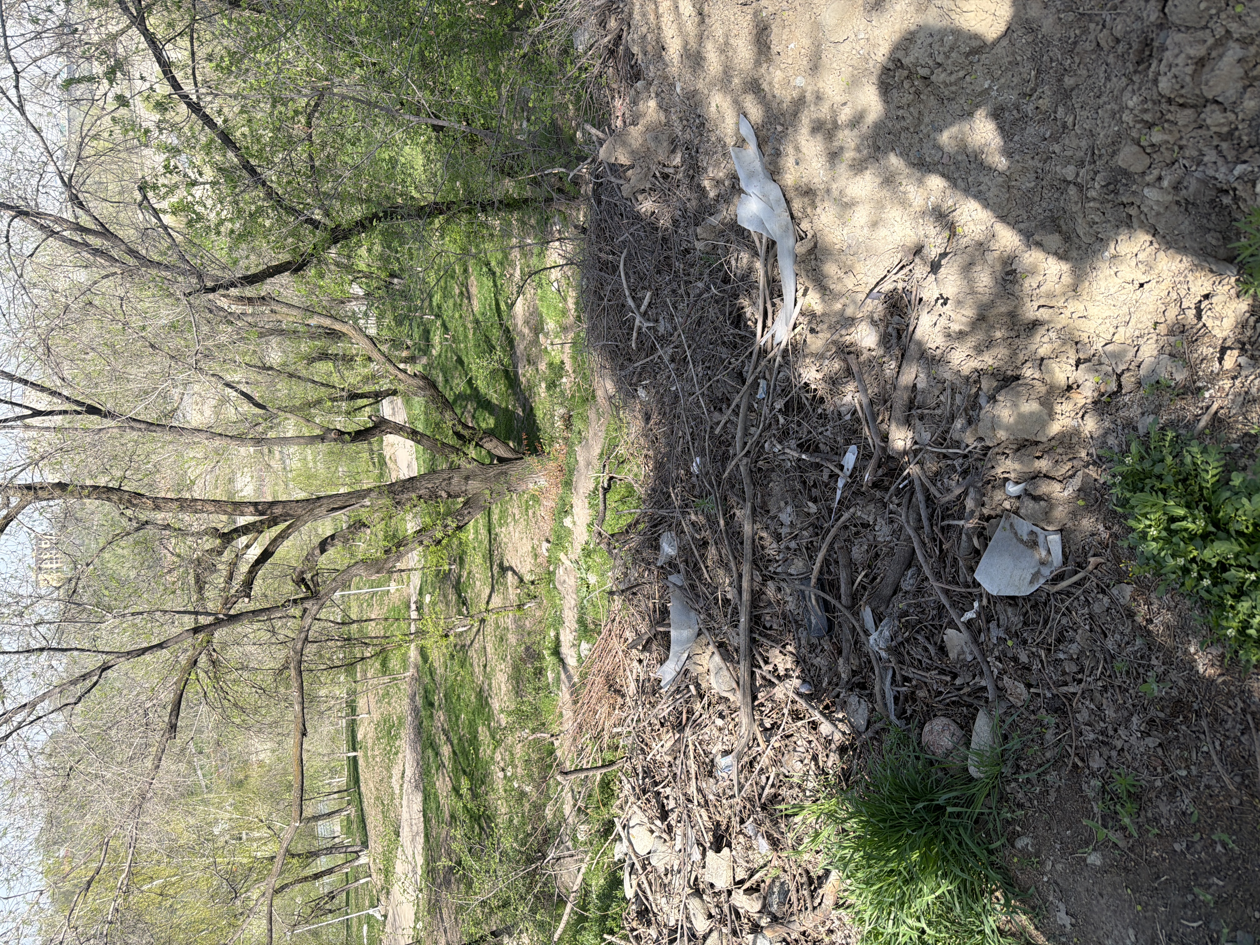 Фото нарушения